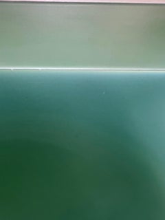 "Floración del bosque" 2025 polímero tintado sobre papel Yupo