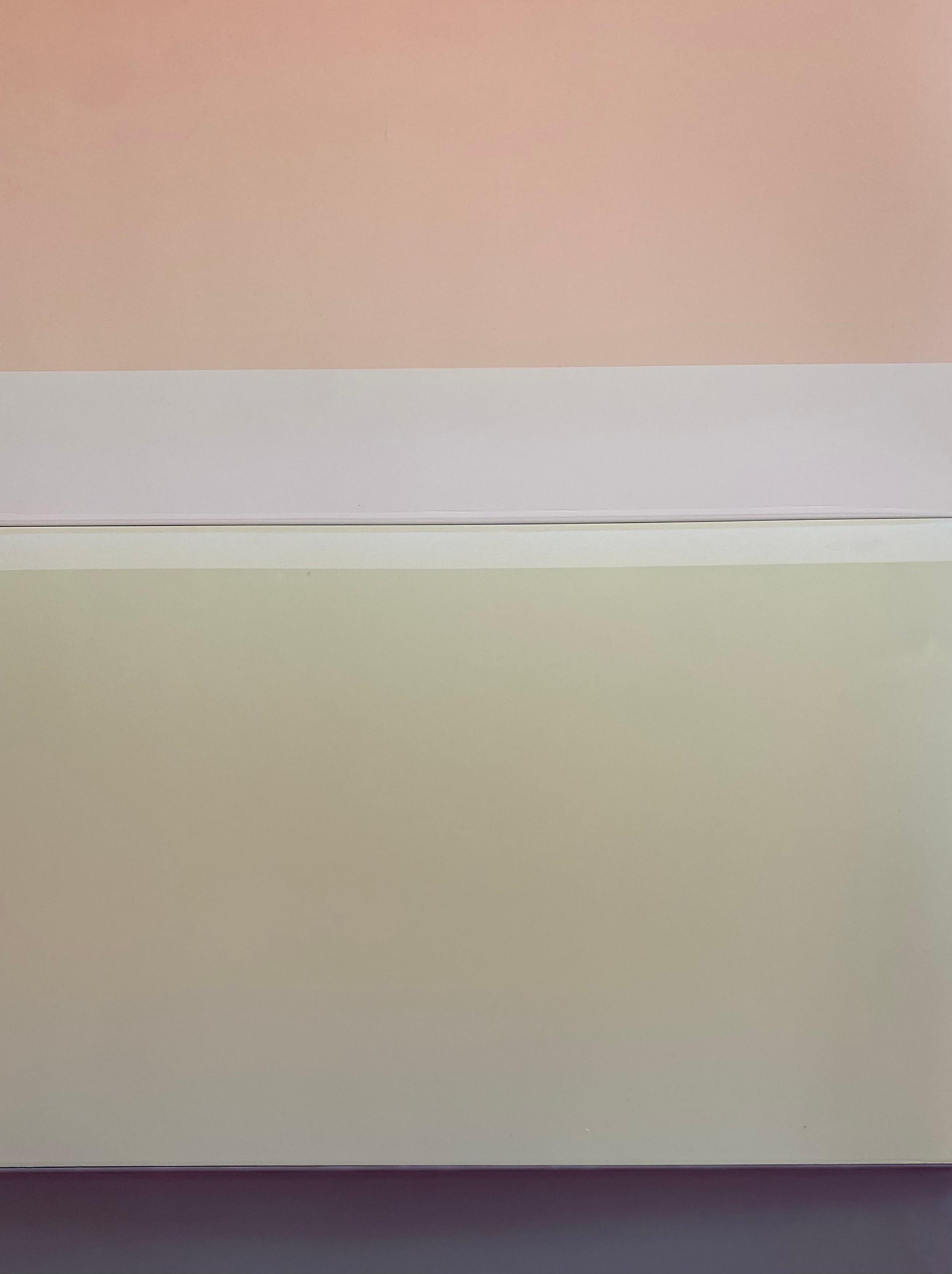 Joachims Dream - Pittura polimerica colorata, albicocca, giallo avorio, viola, 2022 3