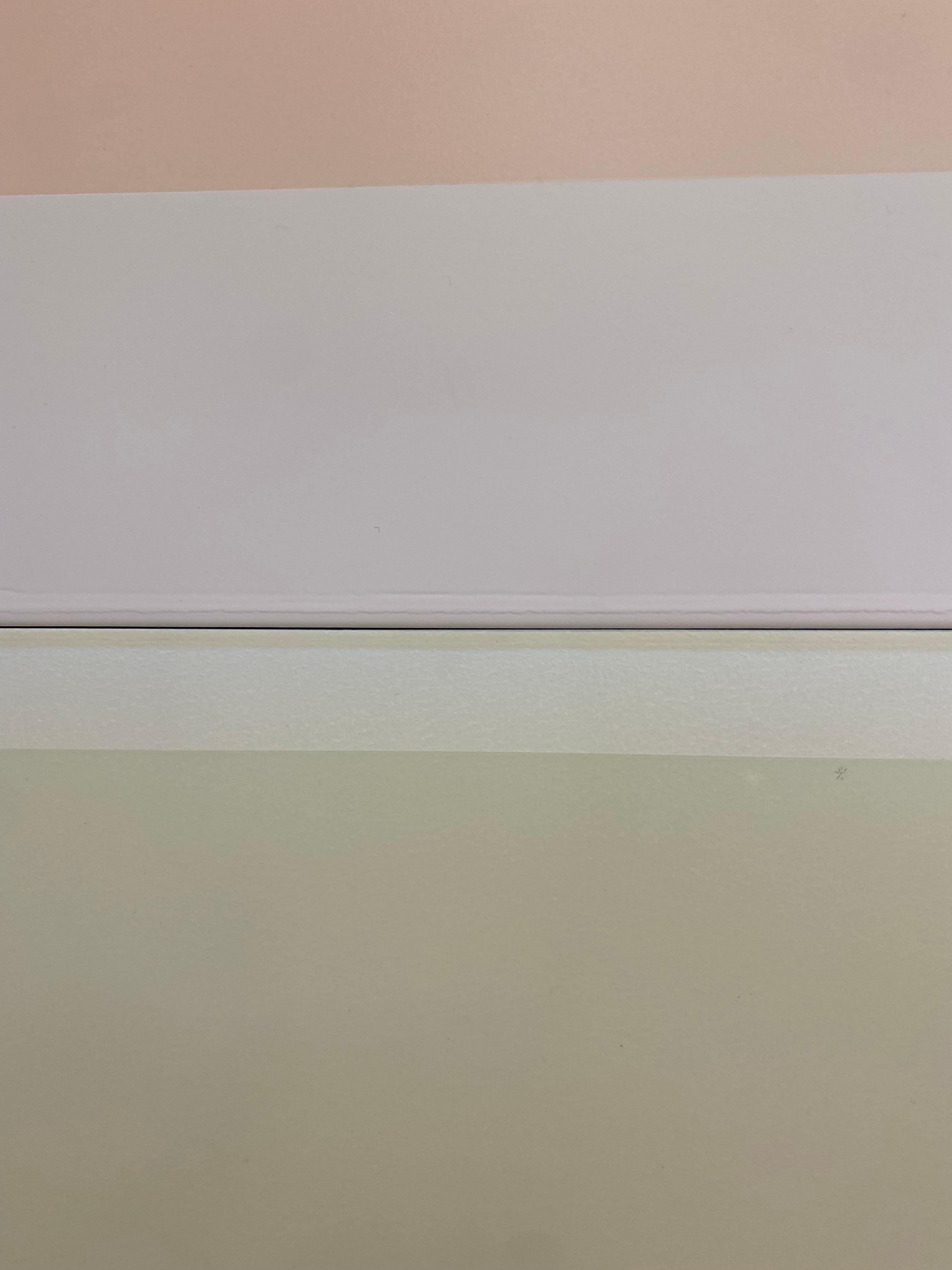 Joachims Dream - Pittura polimerica colorata, albicocca, giallo avorio, viola, 2022 4