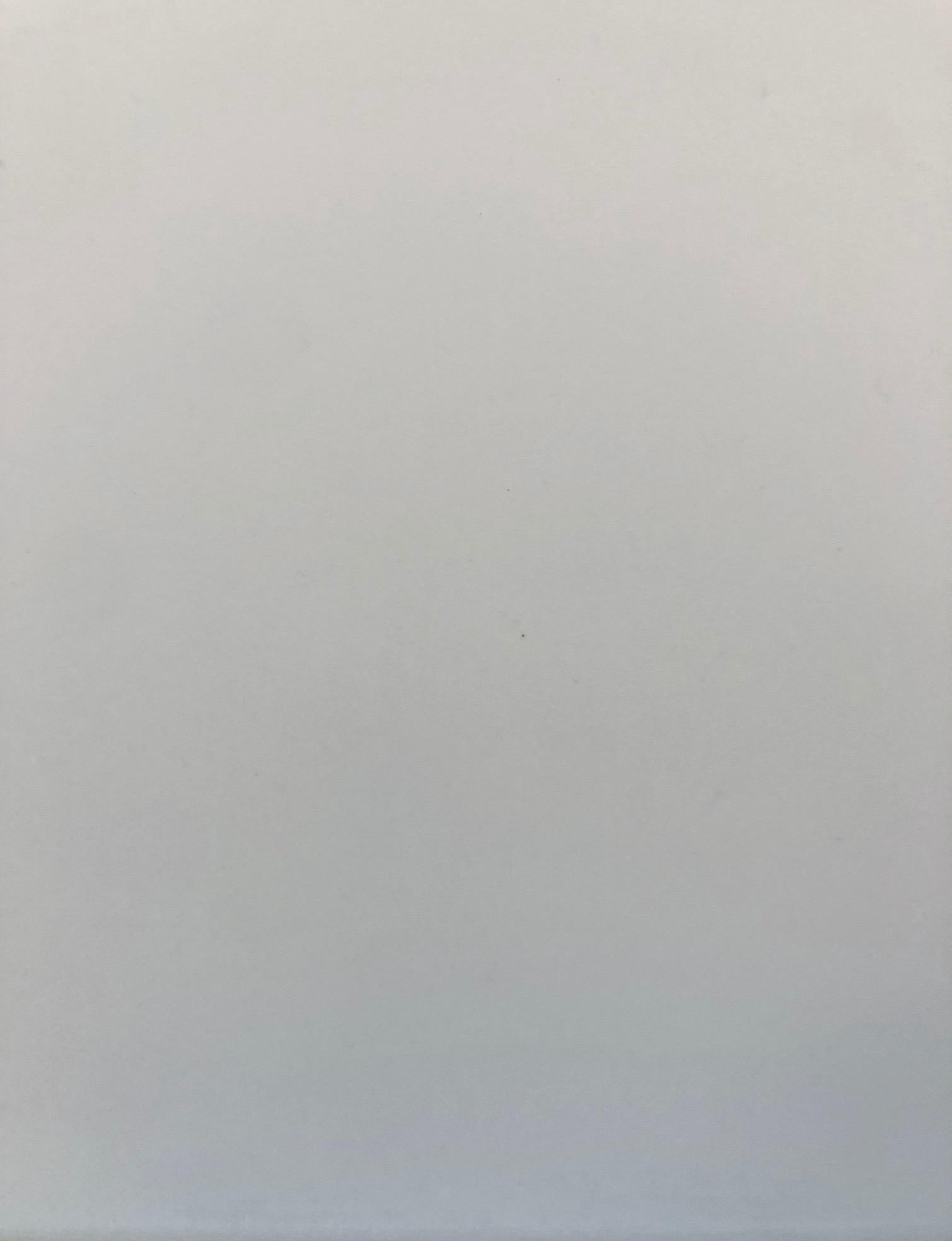 Outland 13 - Pintura Abstracta Vertida Polímero Tintado Mate Gris Azul Hielo, 2019 en venta 2