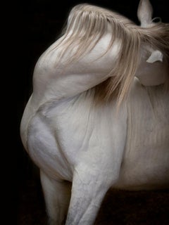 American Modern Photography