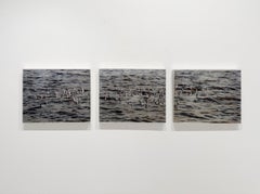 ALL IS (Triptych) - Resin / Photography / Water Seascape / Birds in Flight