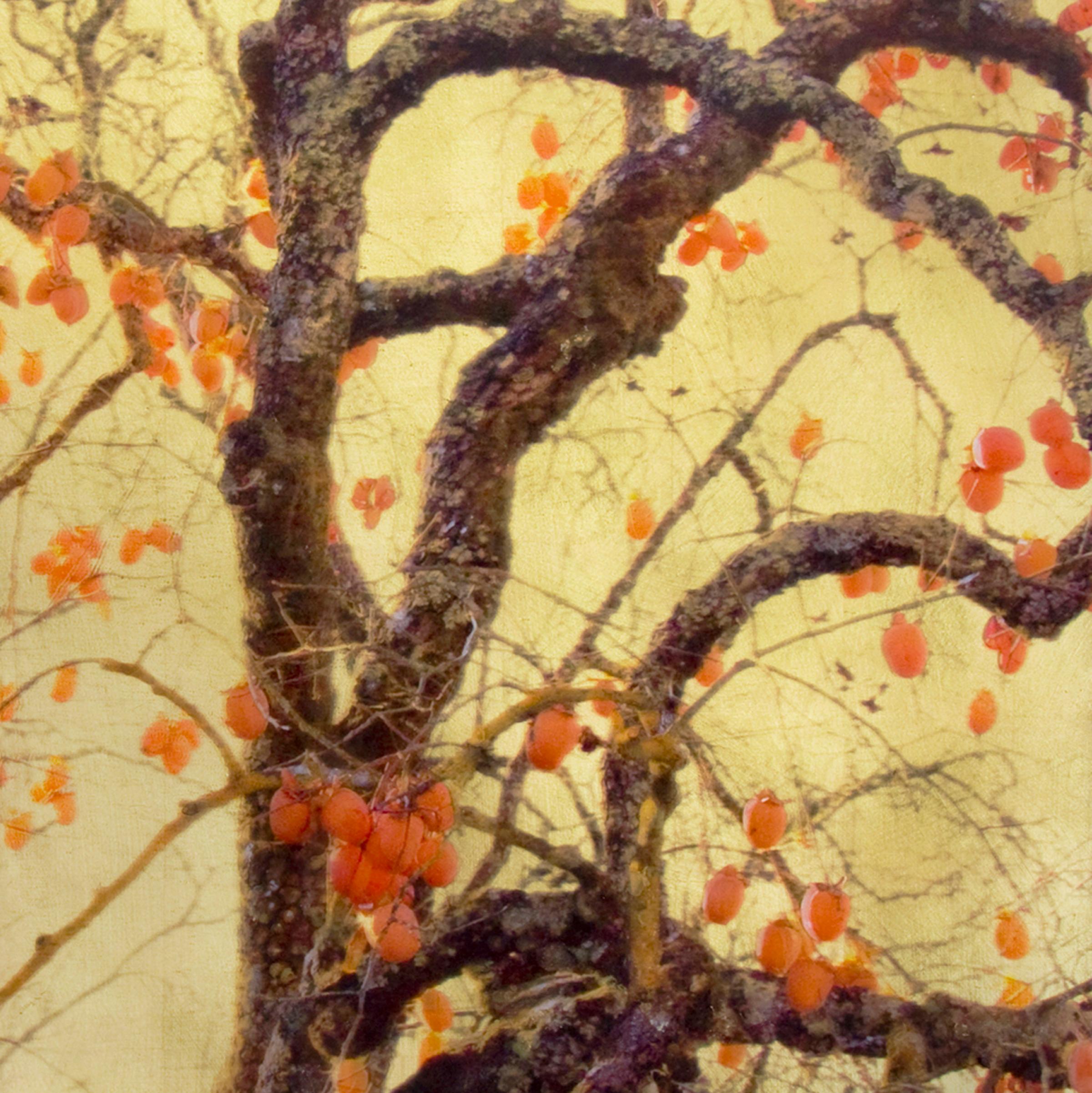 Autumn Blaze, Contemporary Realism, Resin, Nature, Tree, Orange 2