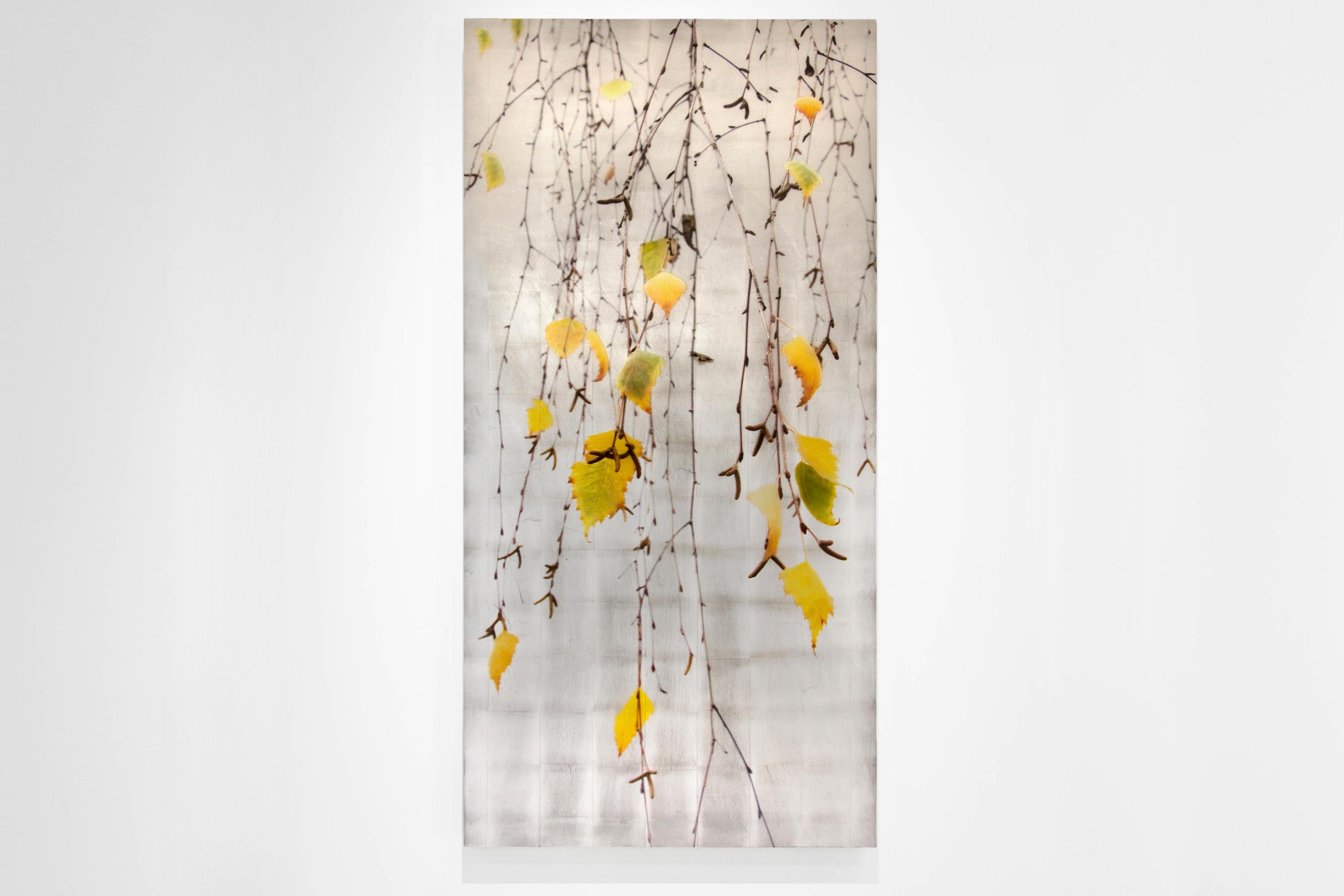 Autumn Echo, Leaves, Tree, Fall, Yellow, Brown, Silver - Contemporary Mixed Media Art by Susan Goldsmith