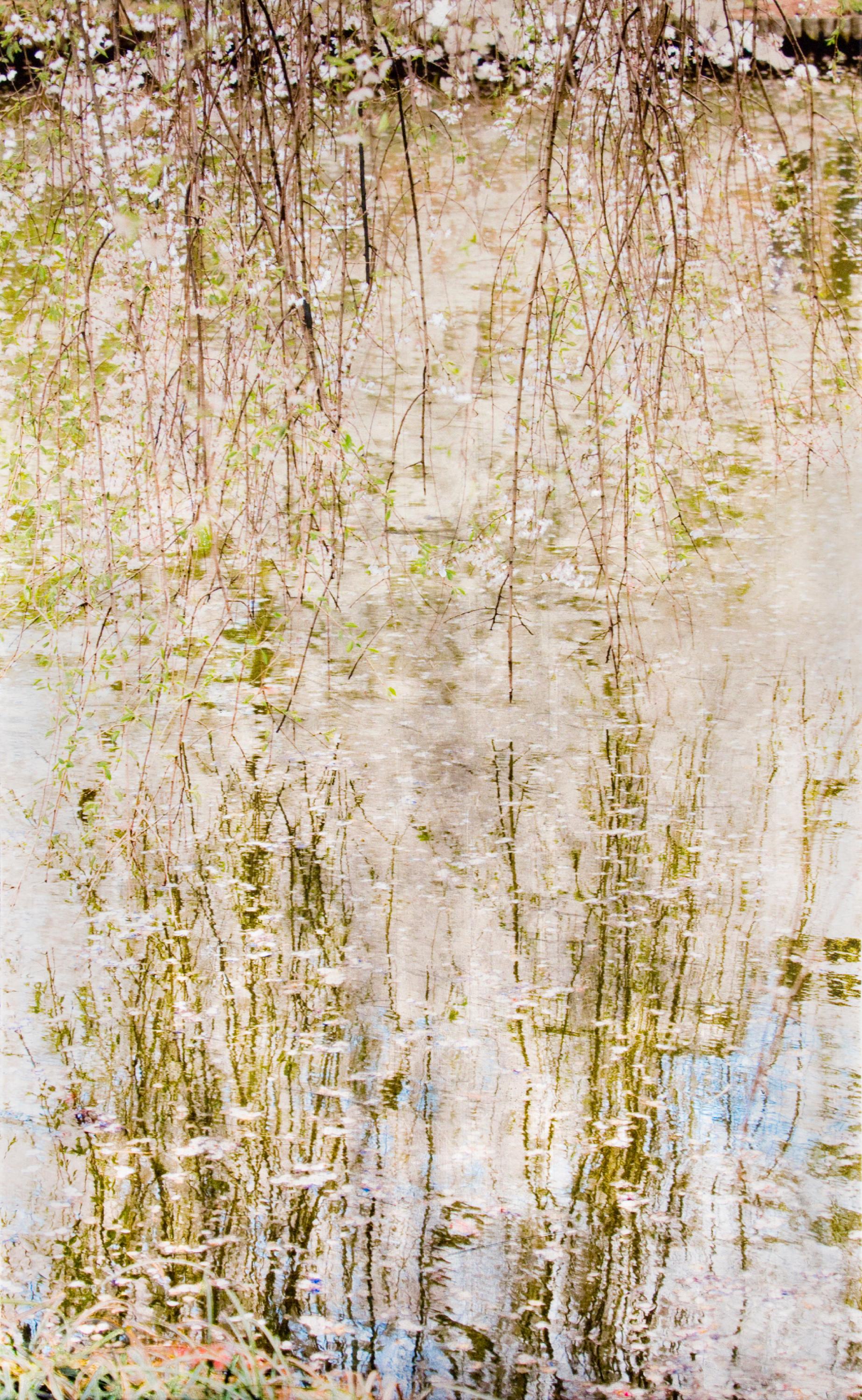 CALM WHISPERS - STATE 2 -  Waterscape / Reflections / Contemporary Art - Photograph by Susan Goldsmith
