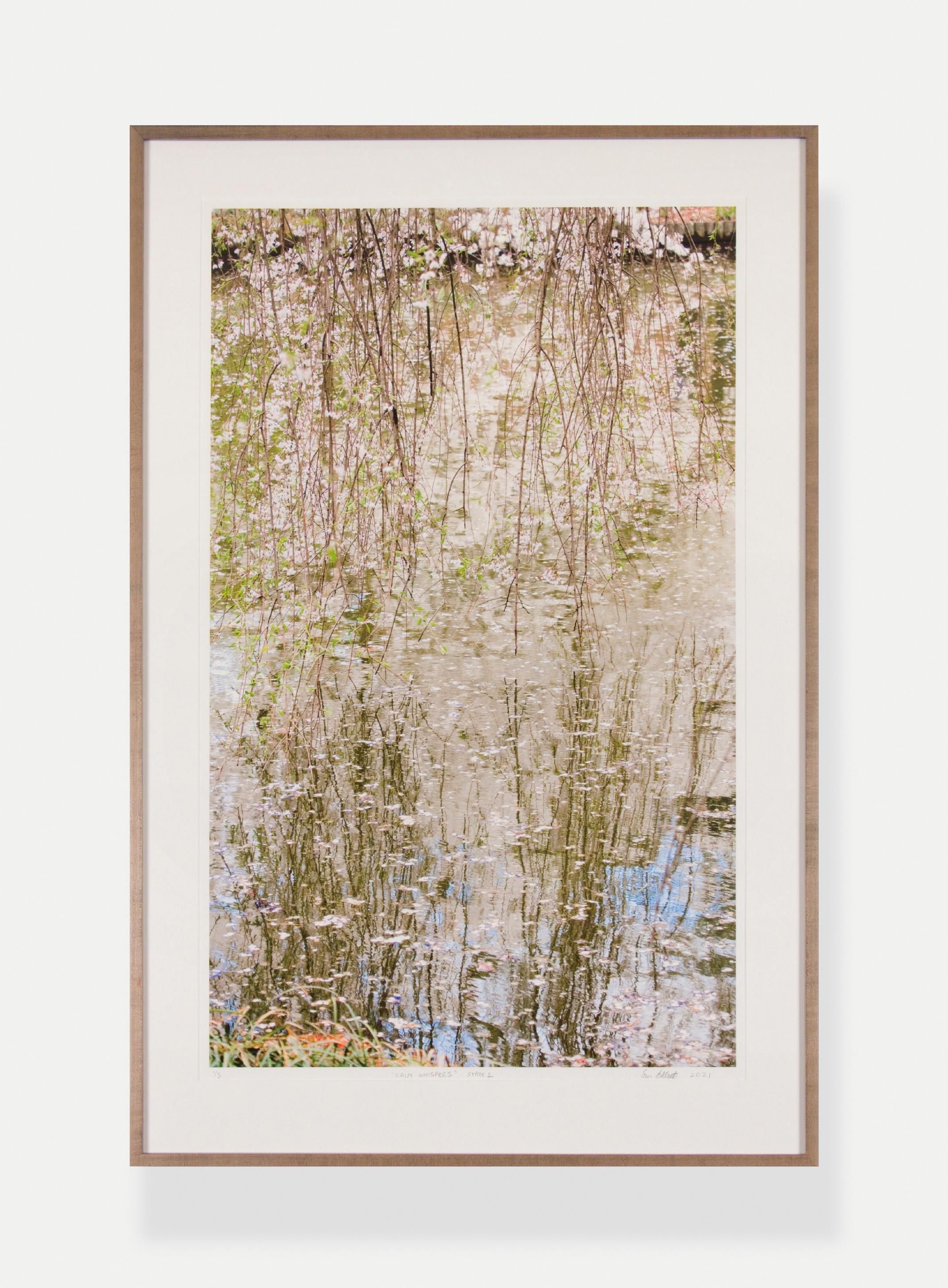 Susan Goldsmith Landscape Photograph – CALM WHISPERS – STATE 2 –  Aquarell / Reflektionen / zeitgenössische Kunst
