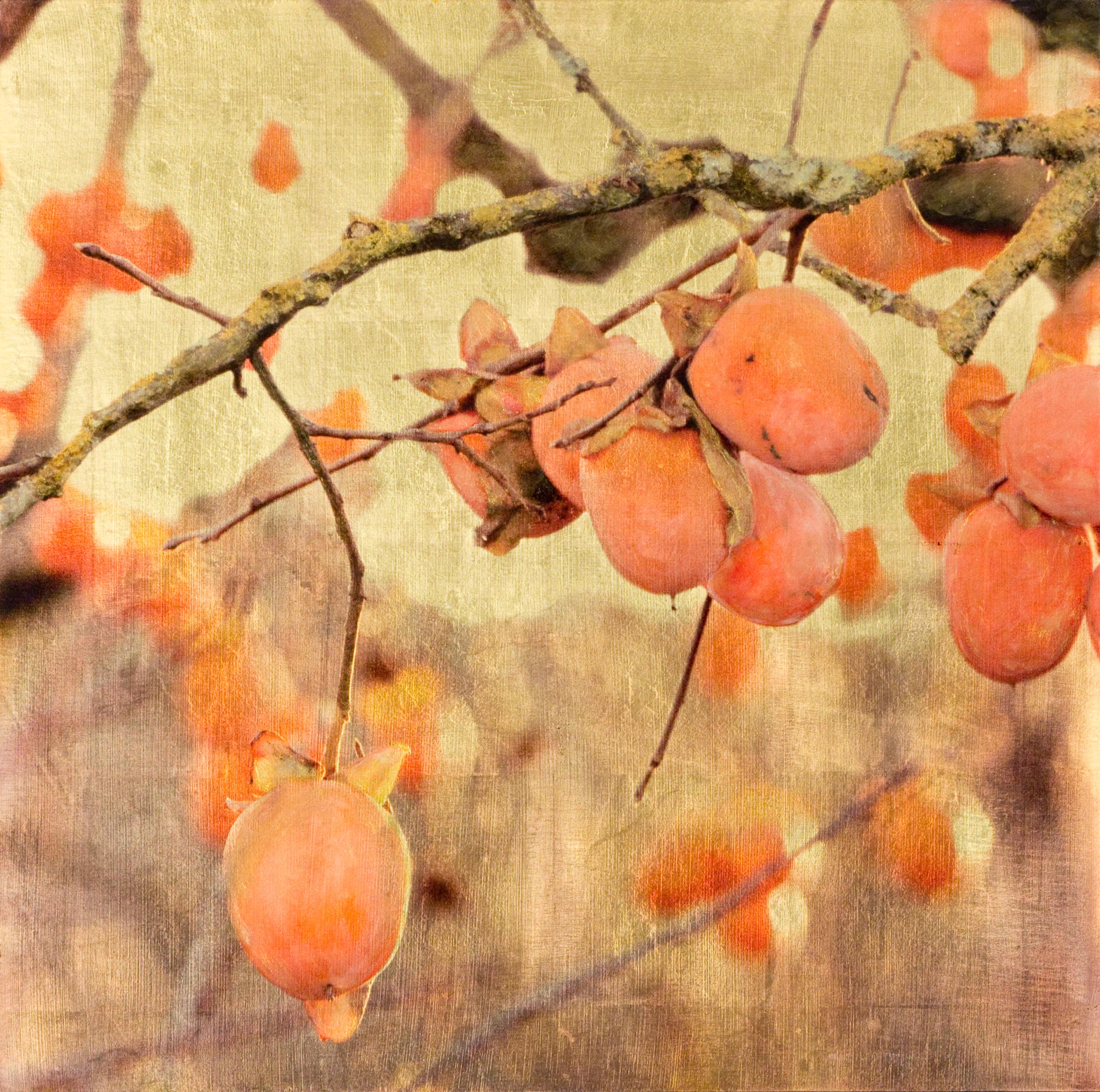 Jove's Feuer, Himbeerbaum, Orange, Blattgold, Harz – Mixed Media Art von Susan Goldsmith