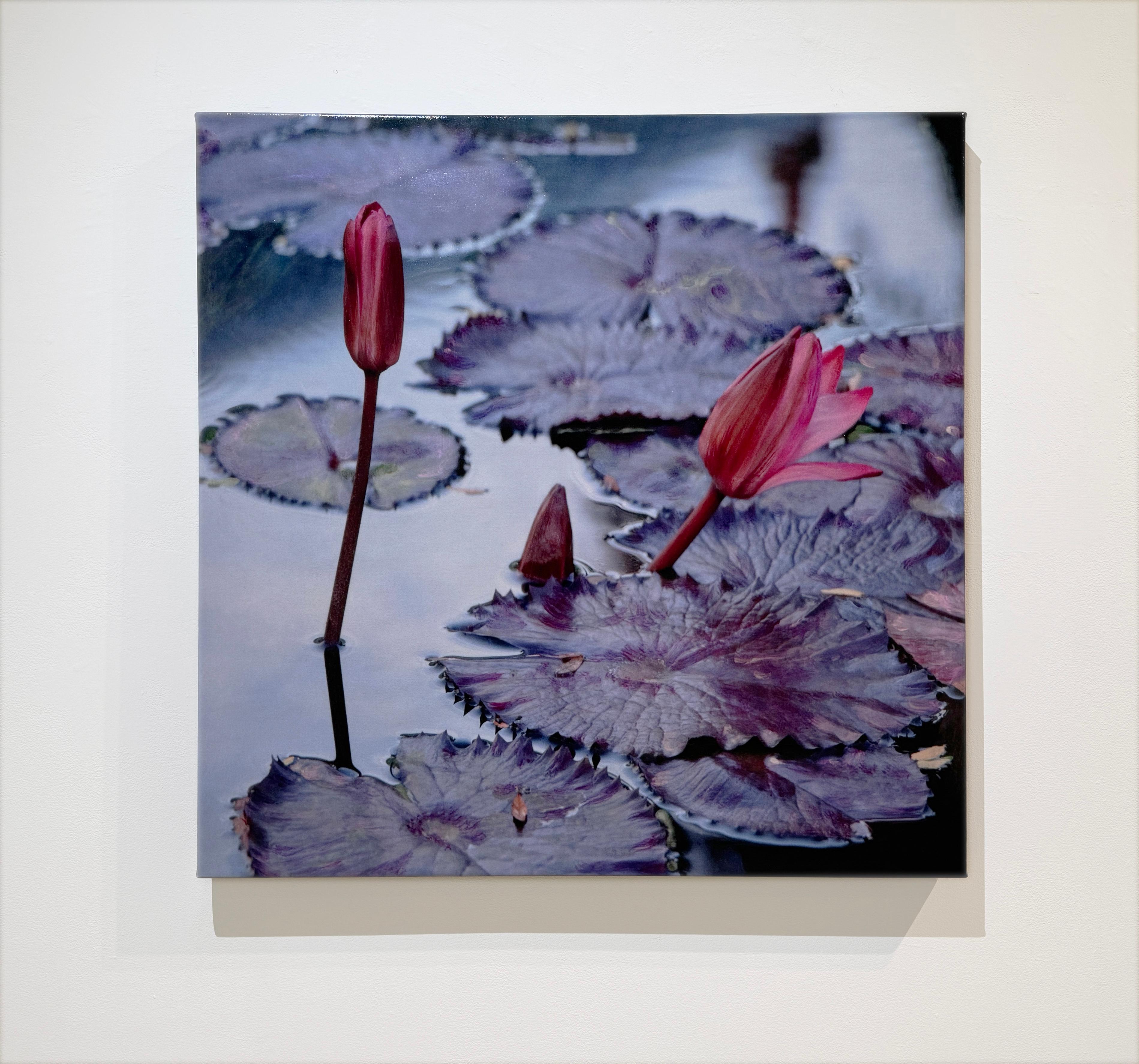 L'EAUX CALMES (STILL WATERS) - Mixed Media, Realism - Contemporary Mixed Media Art by Susan Goldsmith