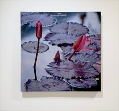 L'EAUX CALMES (STILL WATERS) - Mixed Media, Realism