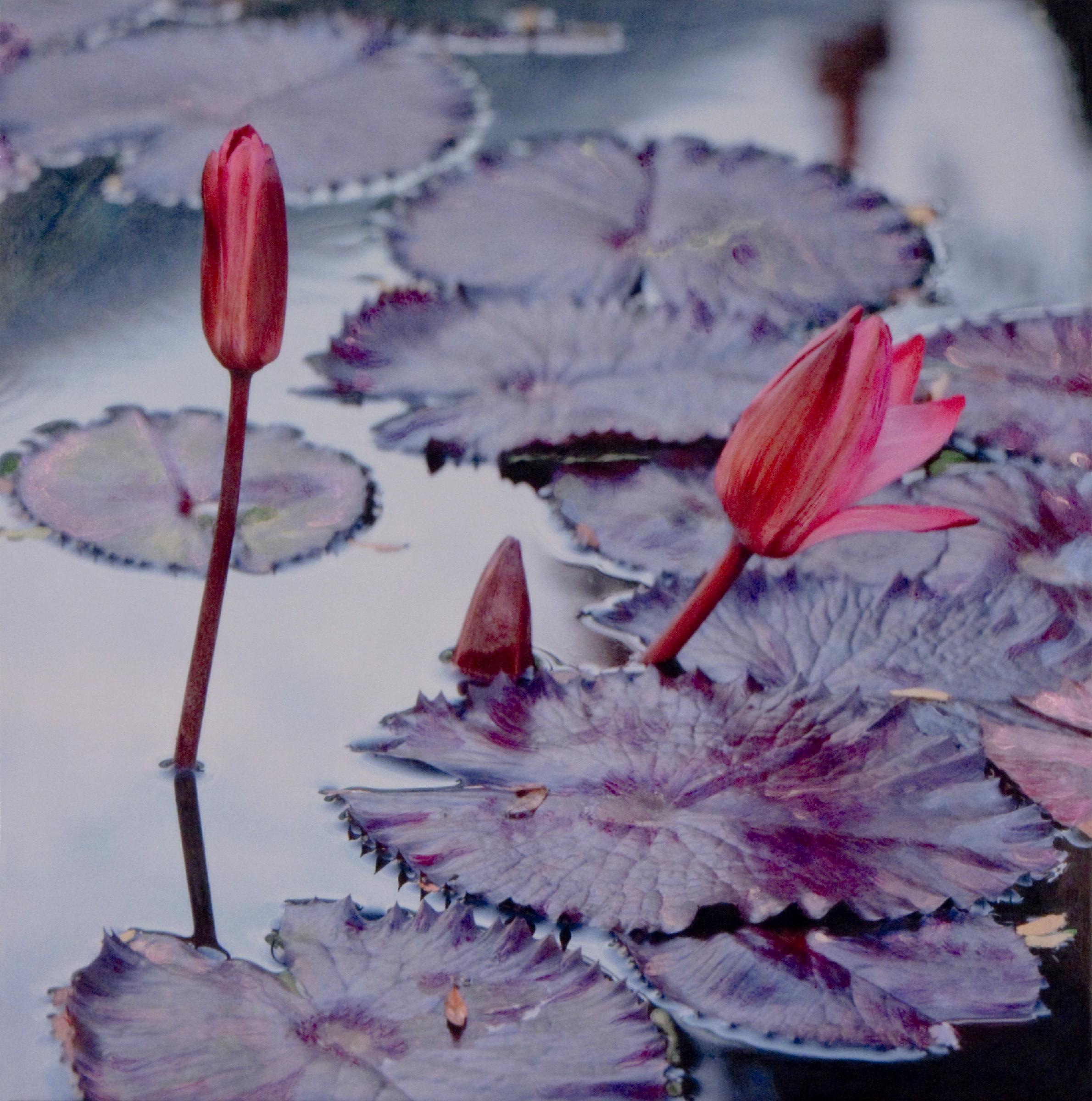 L'EAUX CALMES (STILL WATERS) – Mixed Media, Realismus