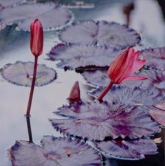 L'EAUX CALMES (STILL WATERS) - Techniques mixtes, réalisme