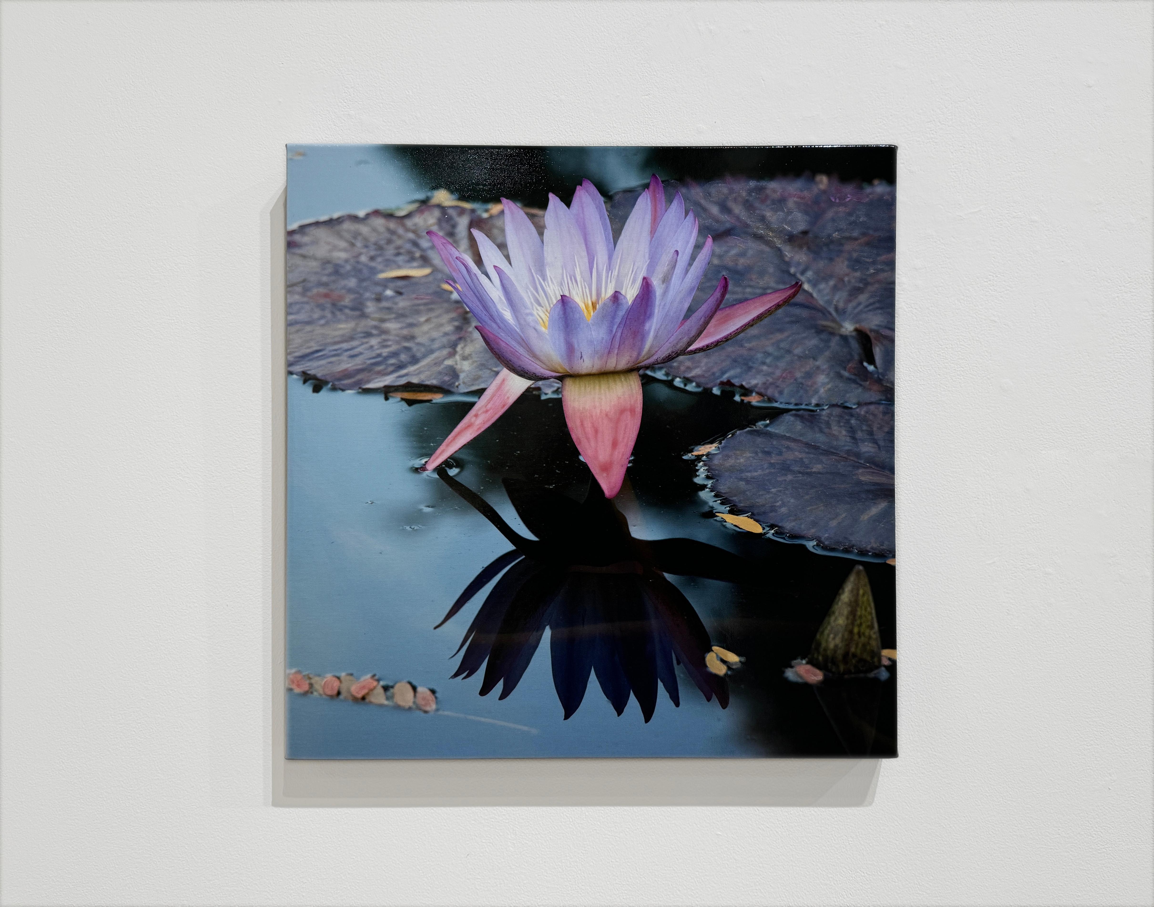 No. 47 - KAMALA - Wasserlily / Floral / Mixed Media / Fotografie (Zeitgenössisch), Mixed Media Art, von Susan Goldsmith