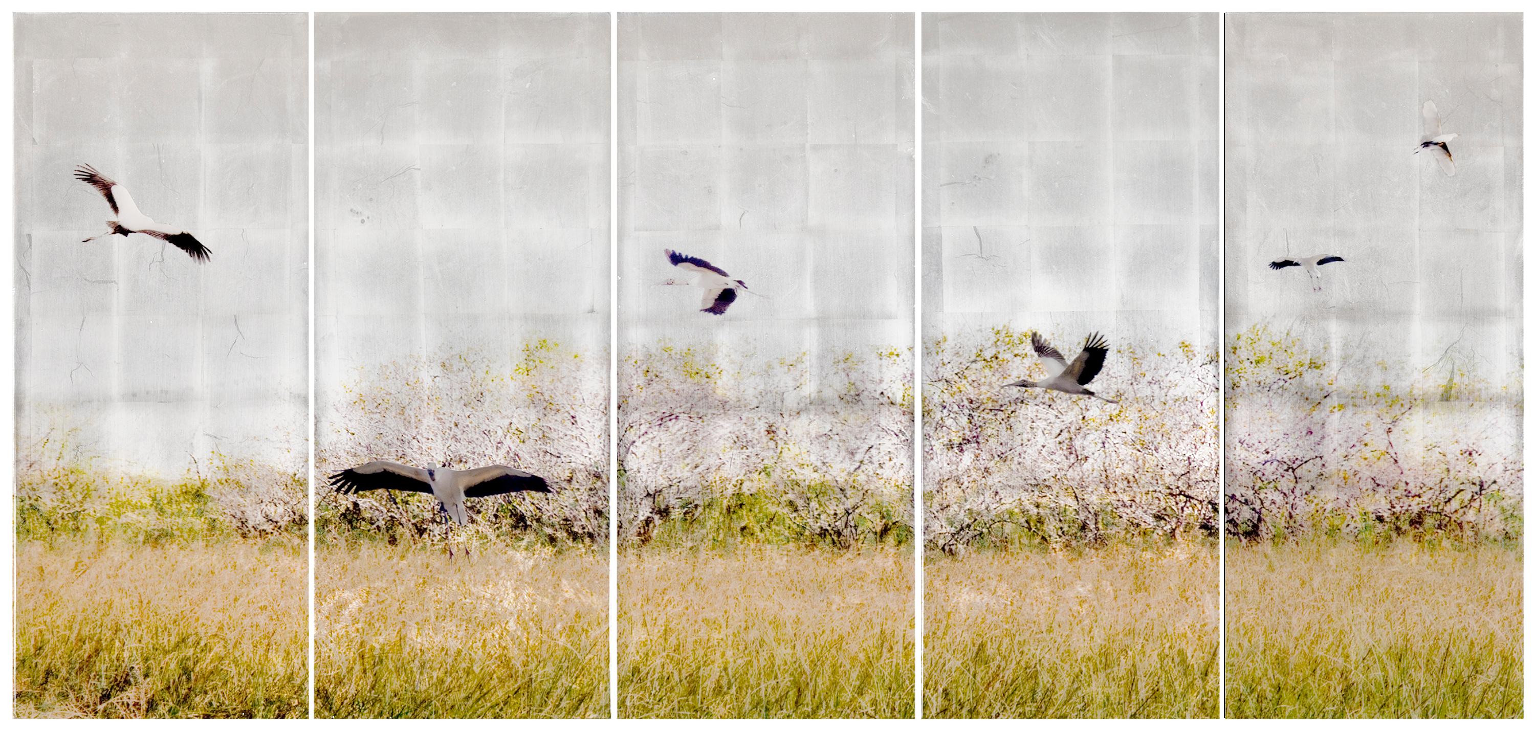 Soaring, Mixed Media, Resin, Landscape, Birds, Everglades, Wetlands - Mixed Media Art by Susan Goldsmith