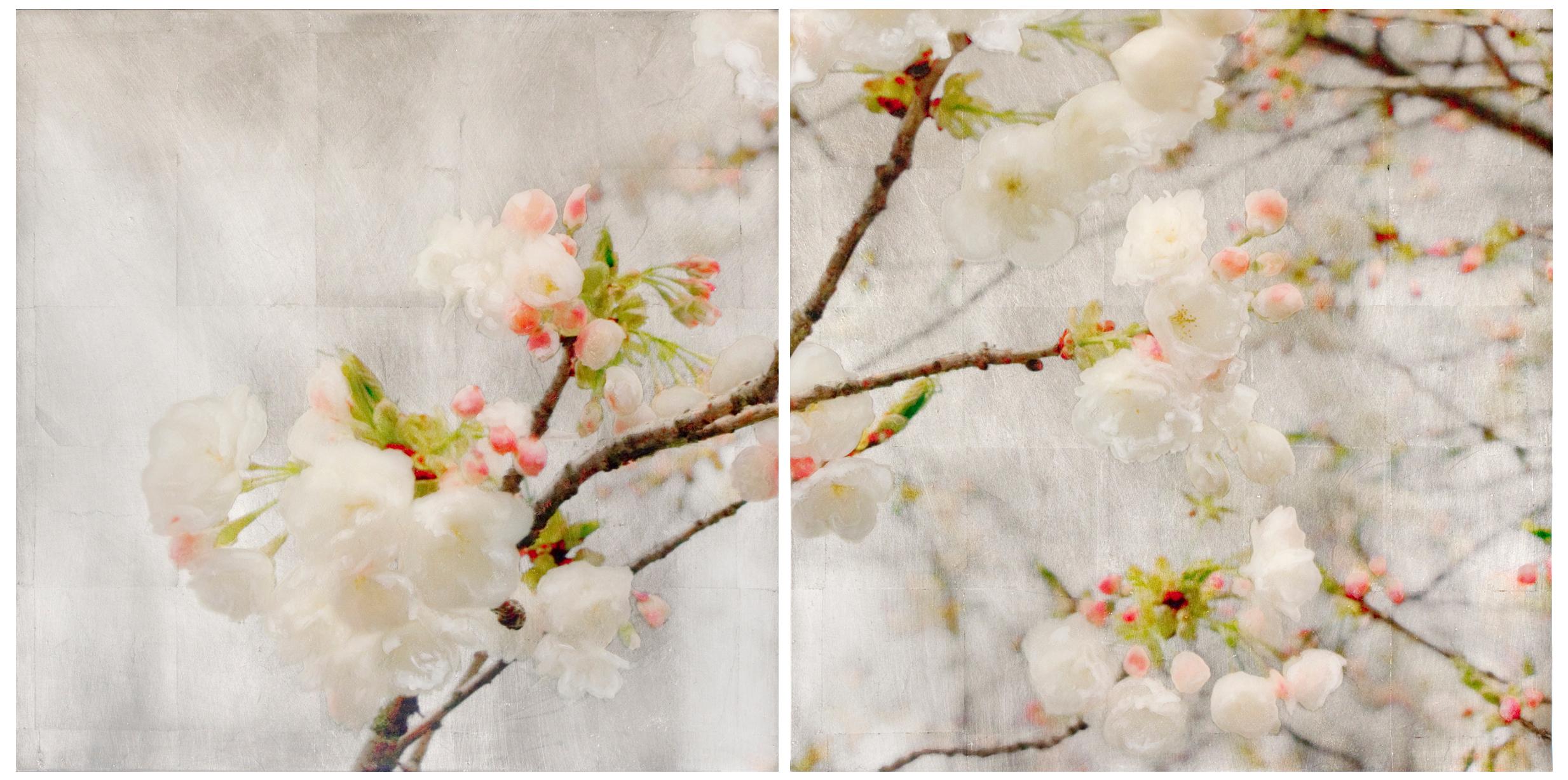 Spring Blush (Diptych), Contemporary Realism, Brooklyn Botanical Gardens, Flower - Mixed Media Art by Susan Goldsmith