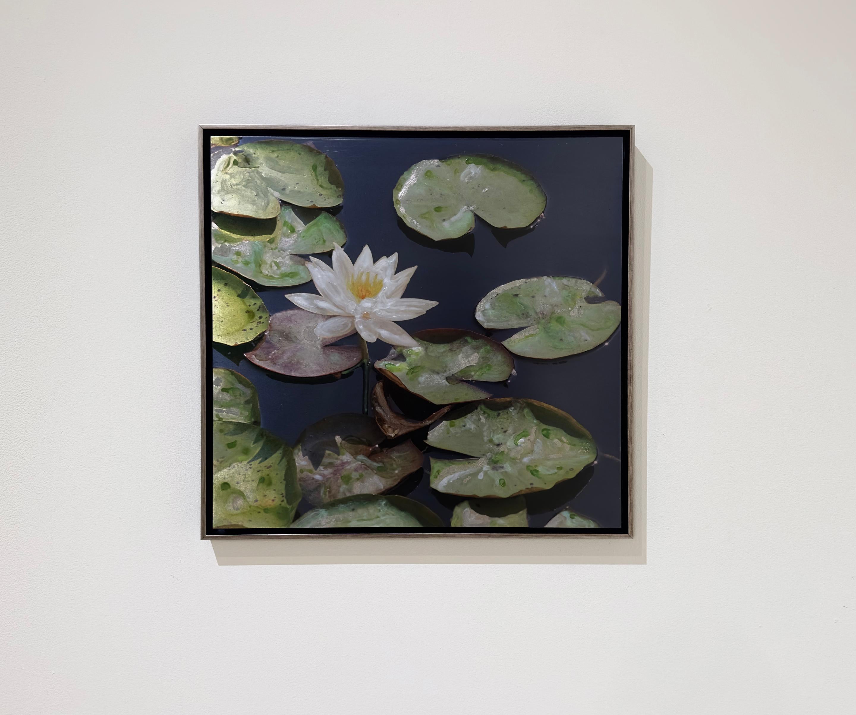 WHITE YAZI - Hyperrealism / Lily pads / Flower / Botanical - Contemporary Mixed Media Art by Susan Goldsmith