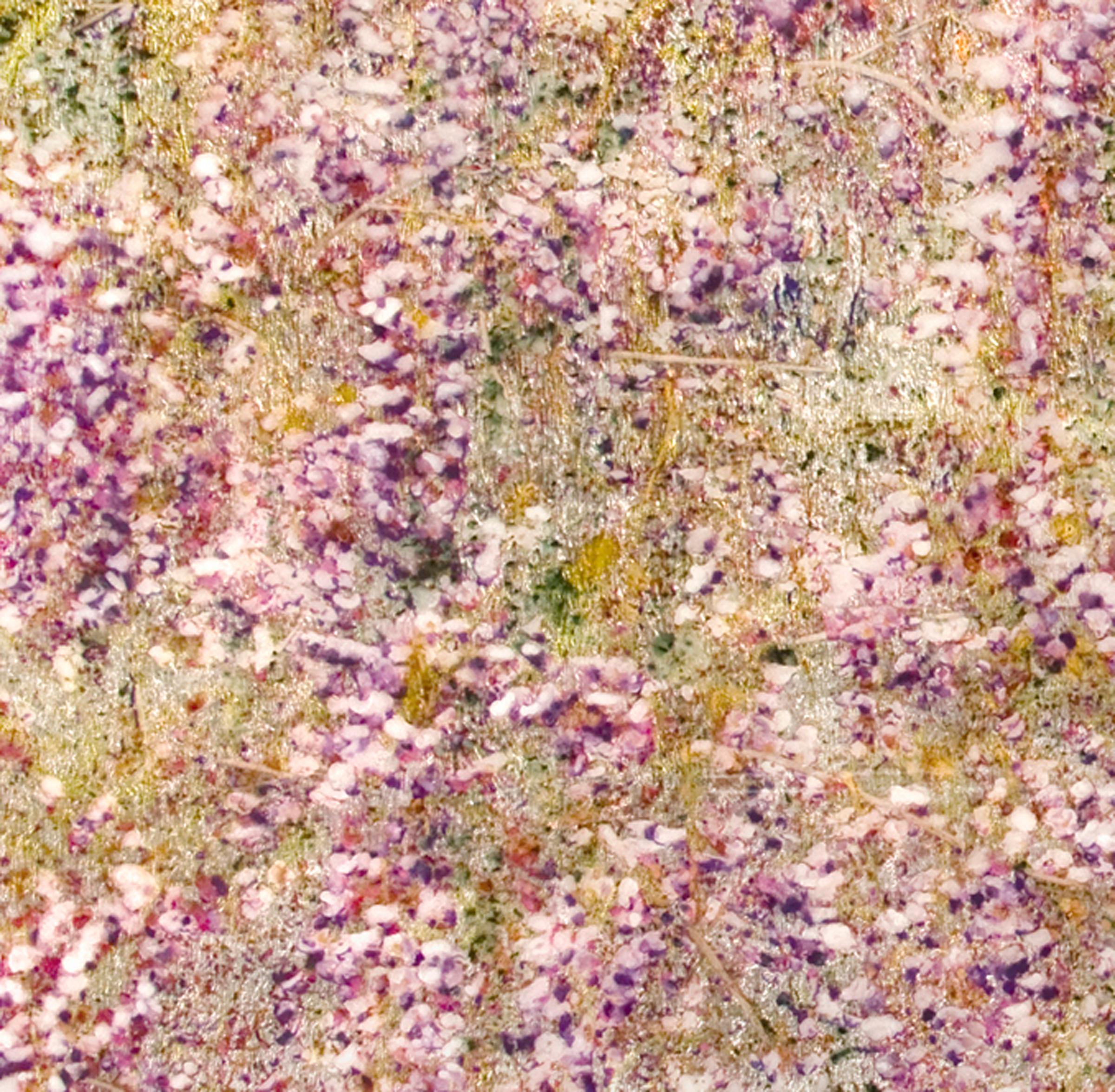 AMETHYST FALLS, figurative landscape, pink, yellow, flowers, nature (Gold), Landscape Painting, von Susan Goldsmith