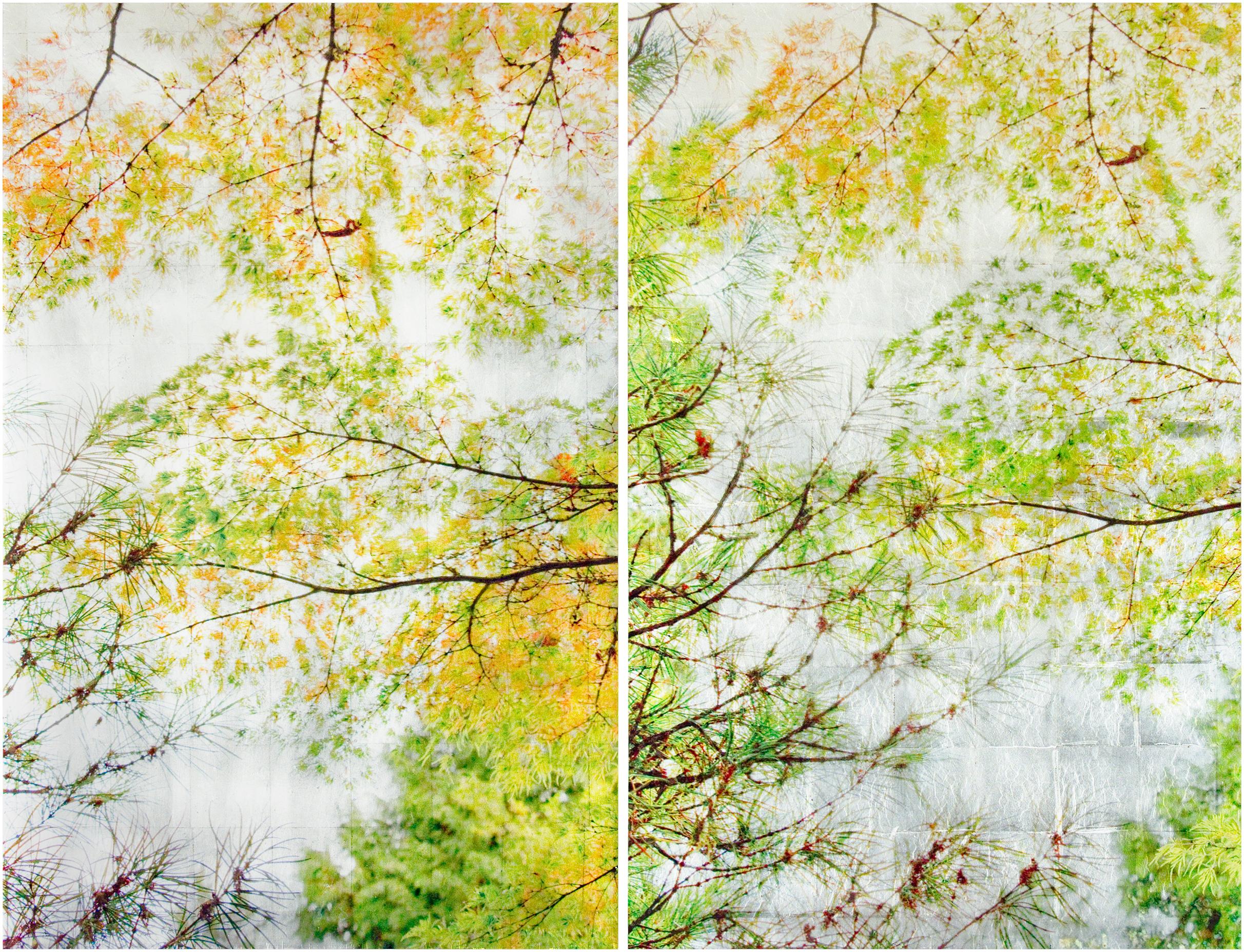 Autumn Sampling II (Diptych), Contemporary Realism, Resin, Nature, Trees - Painting by Susan Goldsmith