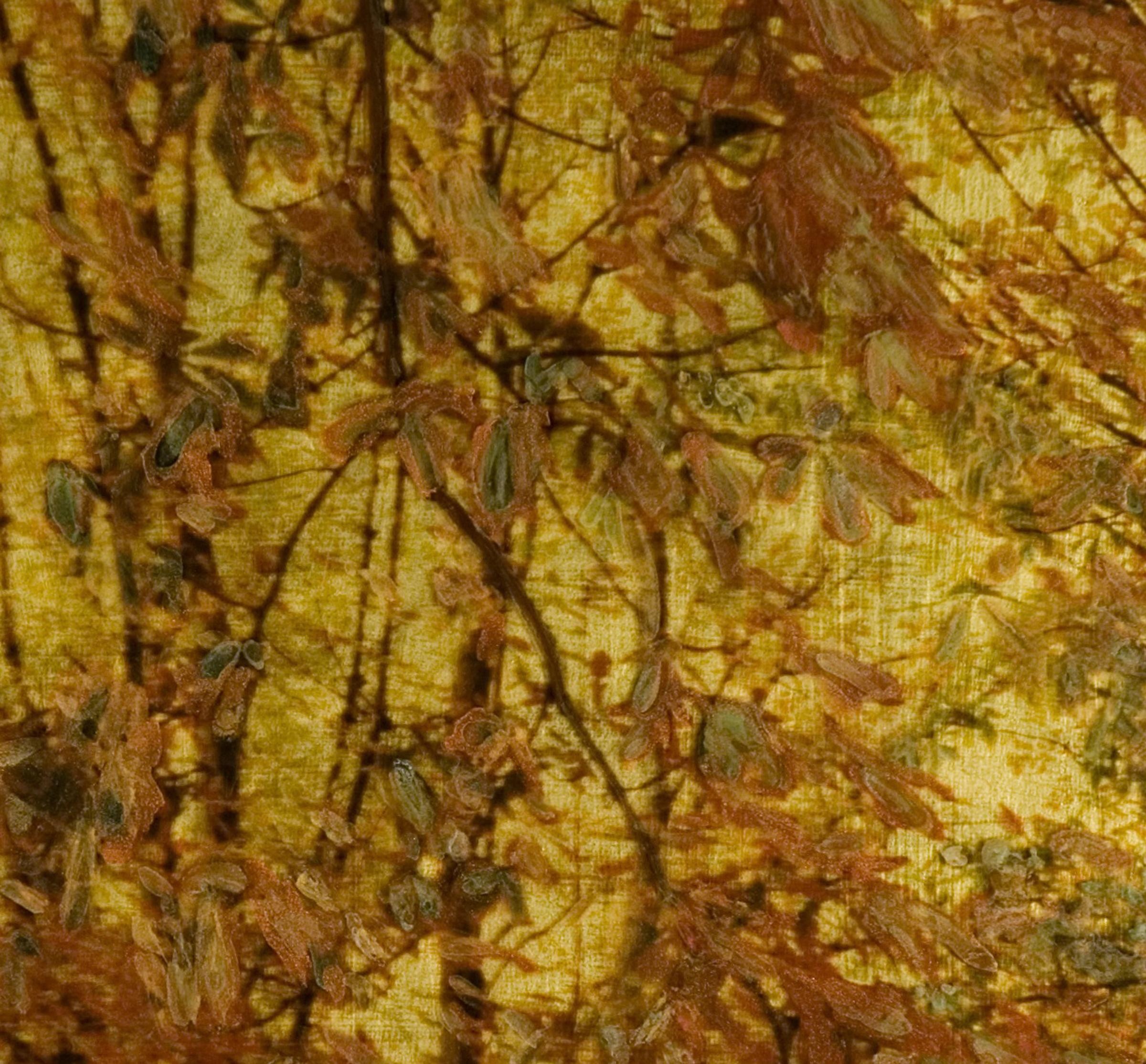 NO. 165, depiction of trees, nature, gold, brown, branches of tree, leaves - Contemporary Mixed Media Art by Susan Goldsmith
