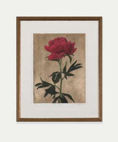MARIE'S PEONY, floral photography, gold backdrop, rose, green, red, textural