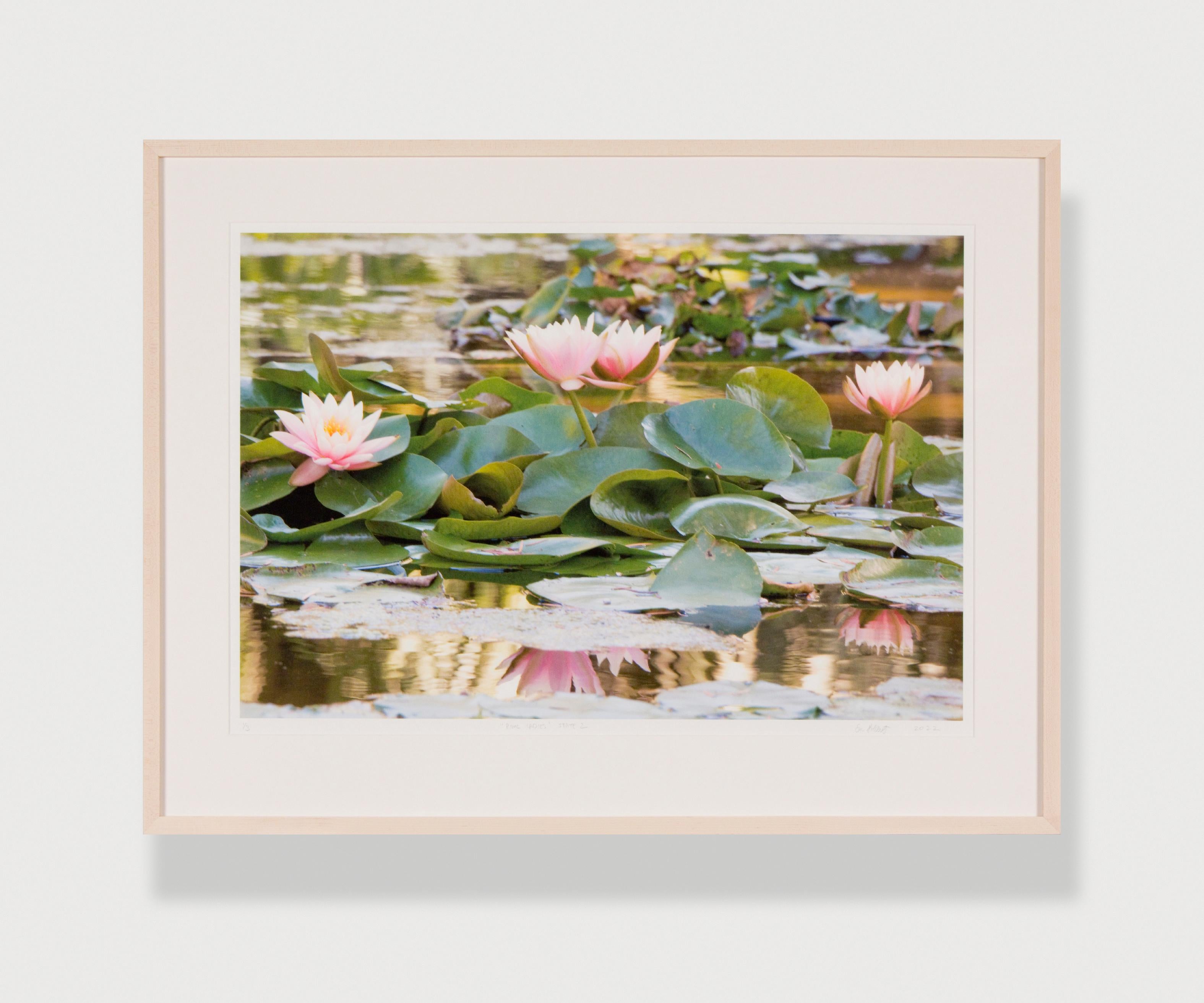 PINK LADIES STATE 2 - Floral Art Photography / Water Lily / Botanic Garden - Print by Susan Goldsmith