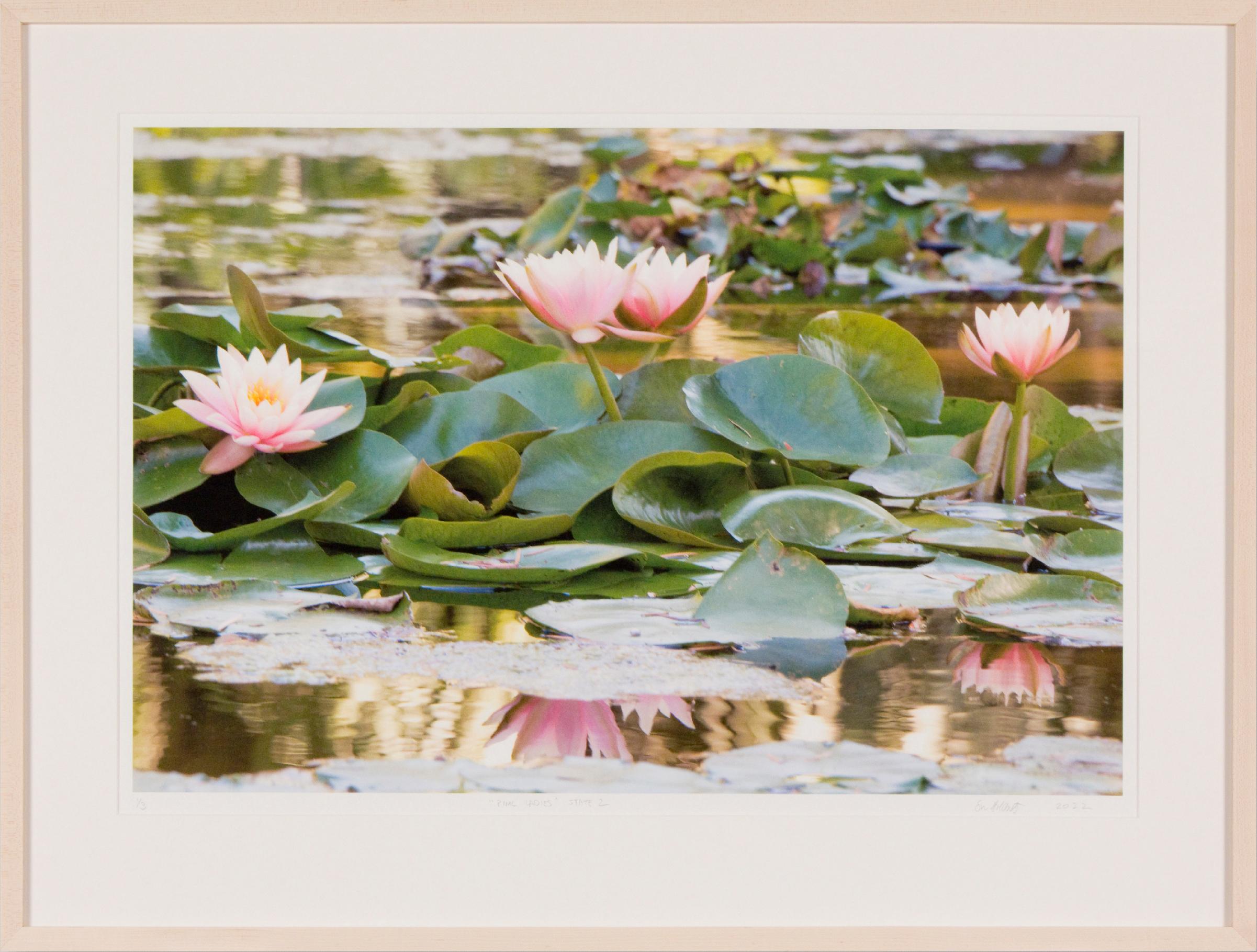 Susan Goldsmith Landscape Print - PINK LADIES STATE 2 - Floral Art Photography / Water Lily / Botanic Garden