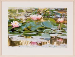 PINK LADIES STATE 2, Art Photography of pink waterlilies in botanic garden