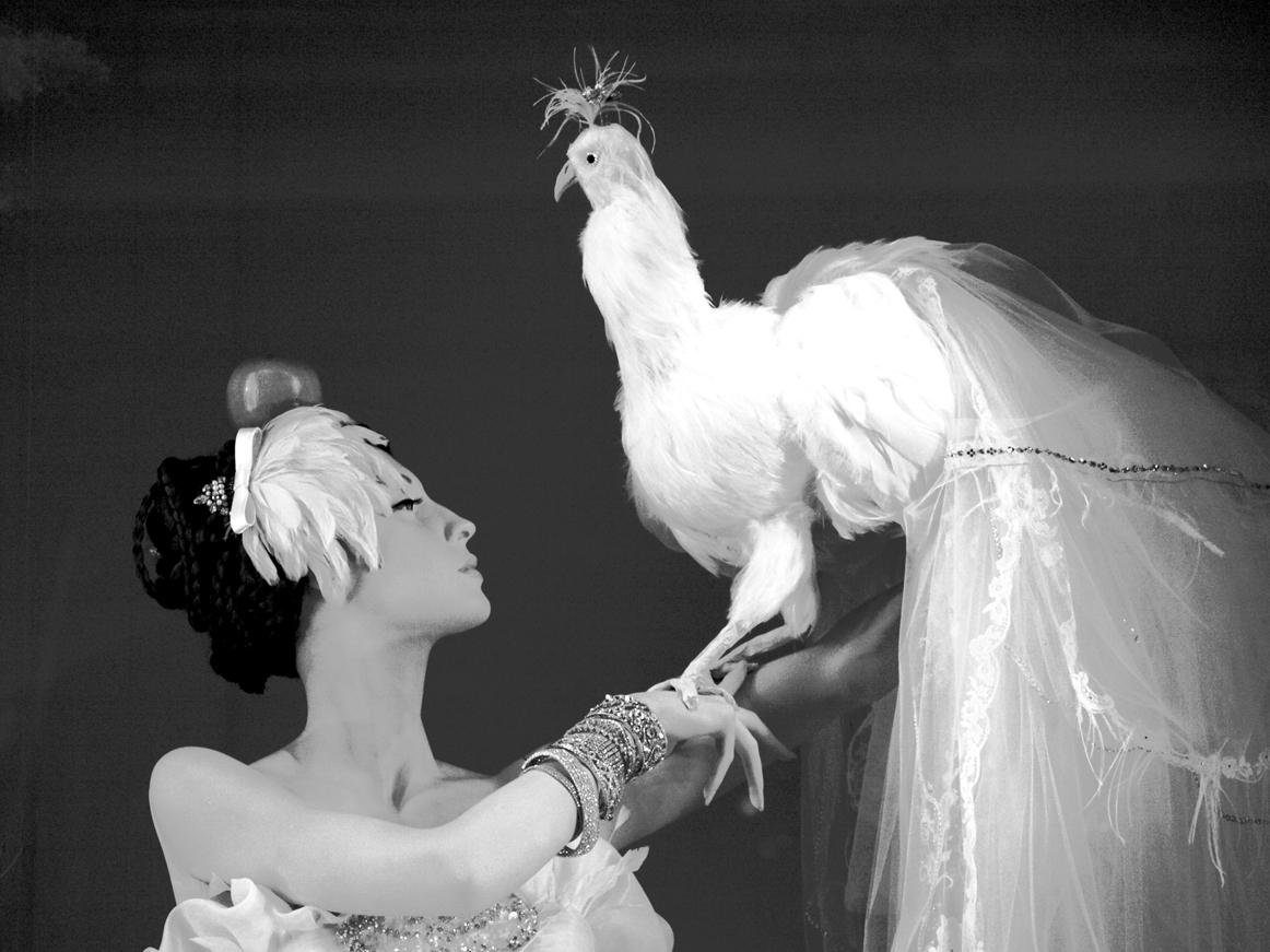 Susan Grissom Black and White Photograph - Lady and Her Bird, Photograph, Archival Ink Jet