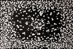 "Groundcover No. 1" - black & white ink drawing - botanical