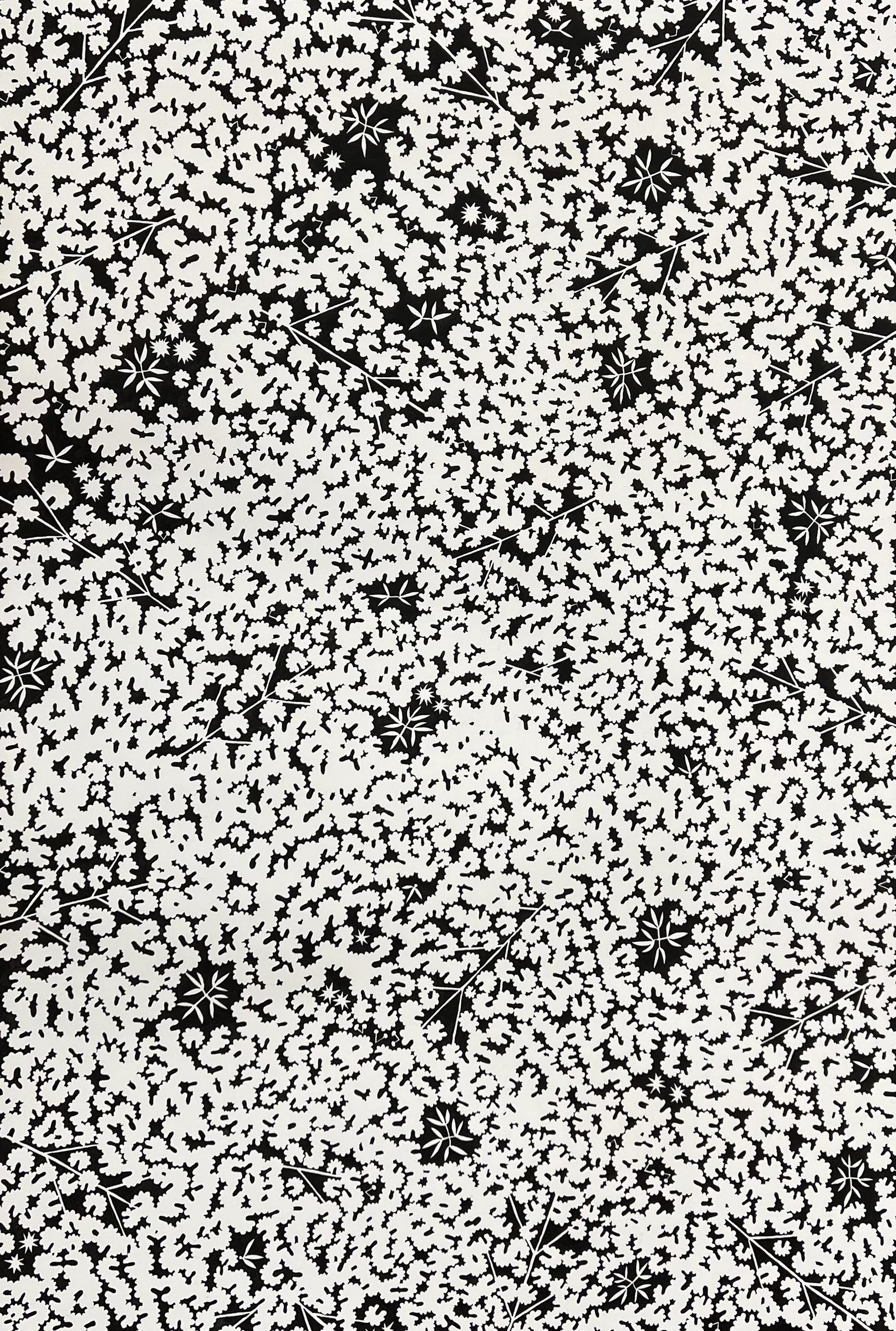 Susan Hable Abstract Painting - "Groundcover No. 4" - black & white ink drawing - botanical