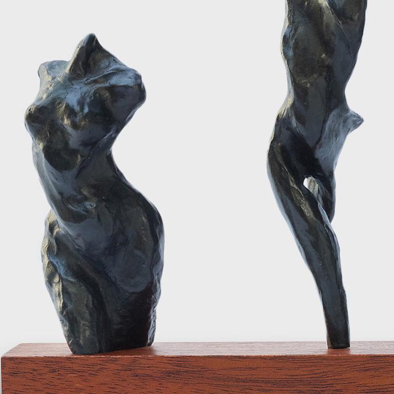 Il s'agit d'une sculpture figurative originale, unique en son genre, réalisée par l'artiste de San Diego, Susan Hawkins. Ses dimensions sont de 9x8,5x2,25. Il est en bronze. Un certificat d'authenticité suivra la livraison de cette œuvre