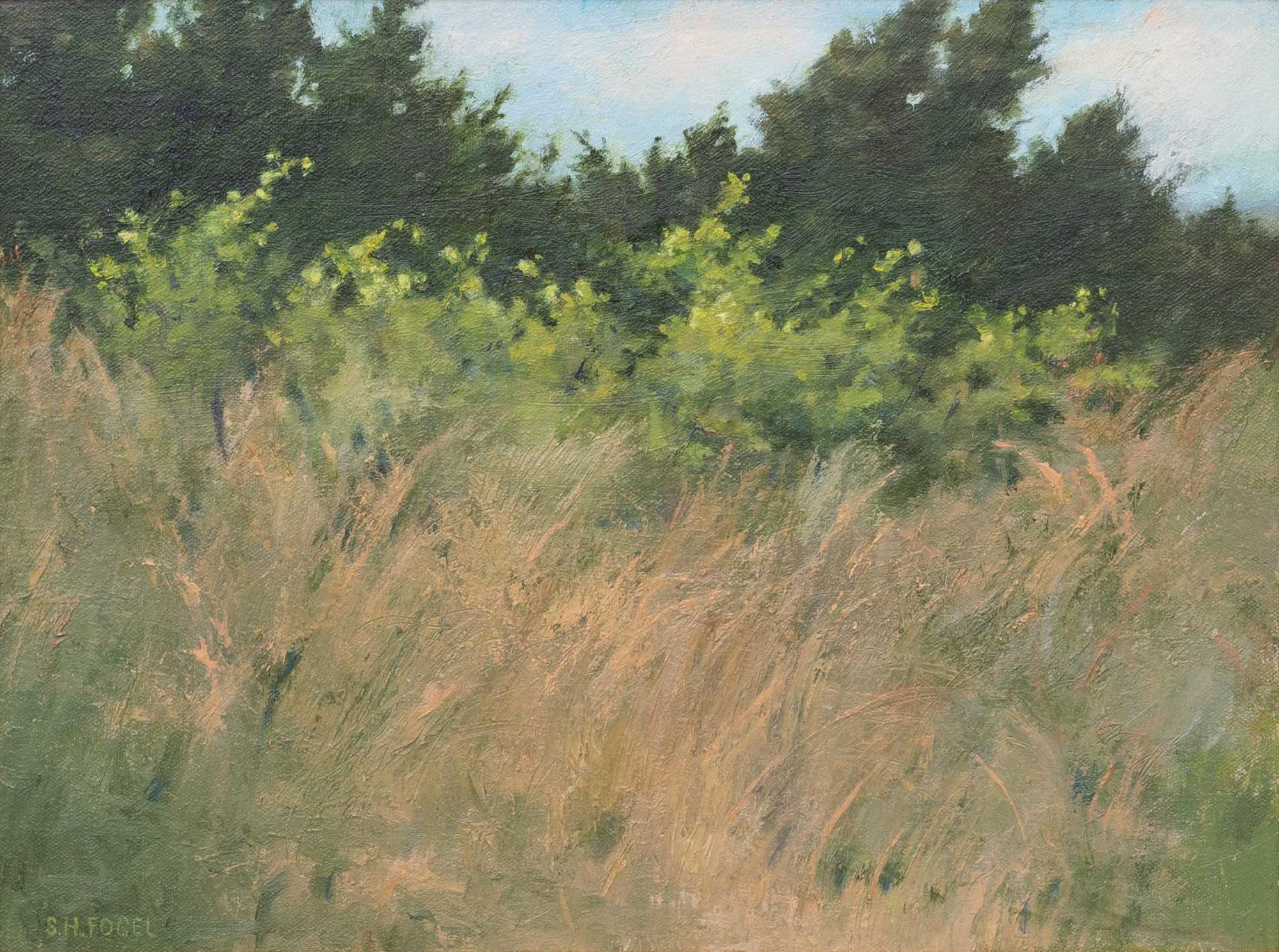 Dune Grasses (Classical Realist Oil Landscape of Beach Grasses, Gold Leaf Frame) - Painting by Susan Hope Fogel