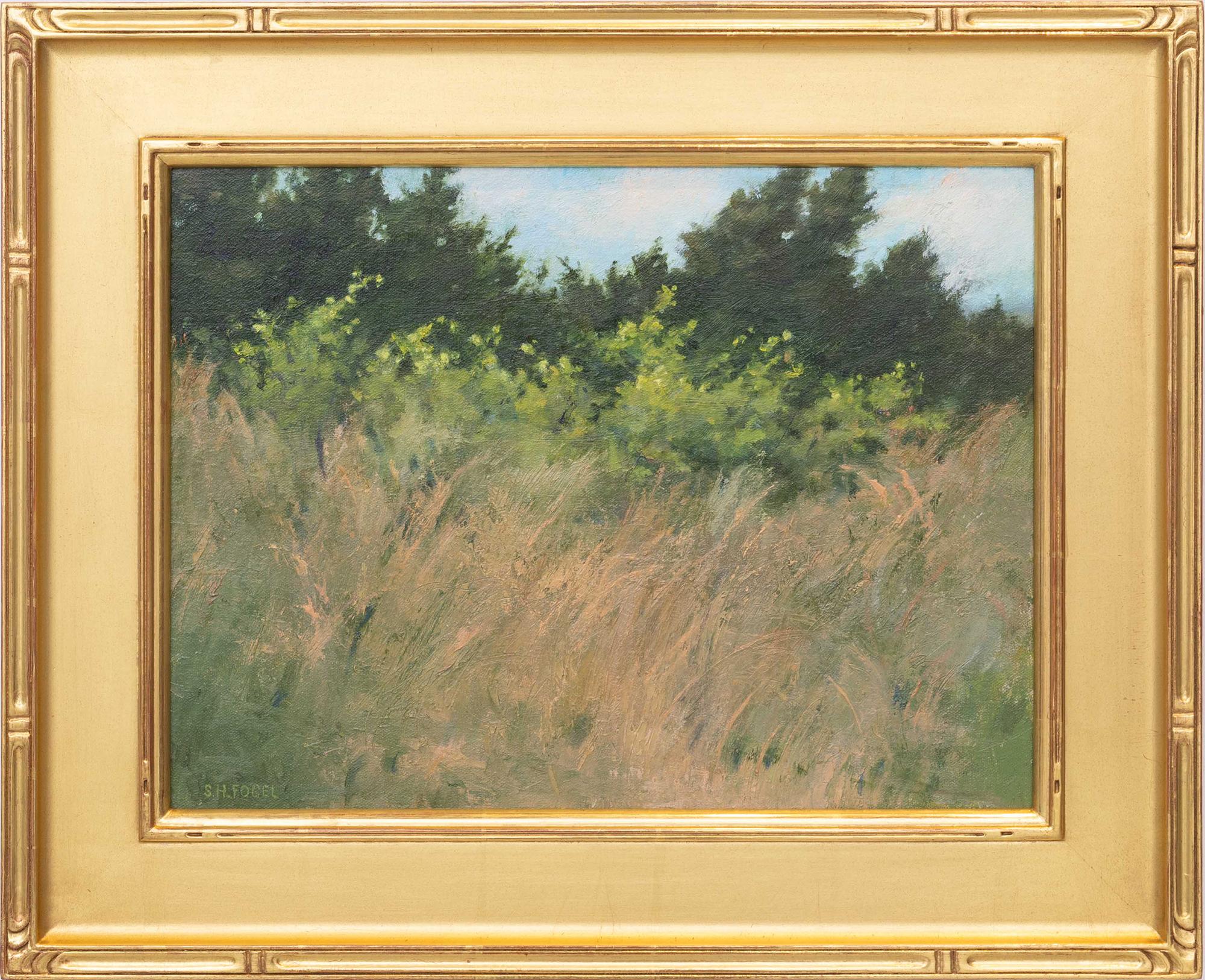Susan Hope Fogel Landscape Painting - Dune Grasses (Classical Realist Oil Landscape of Beach Grasses, Gold Leaf Frame)