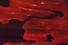 Susan Hutchinson "California Babylon" Dtd 1994 on Board