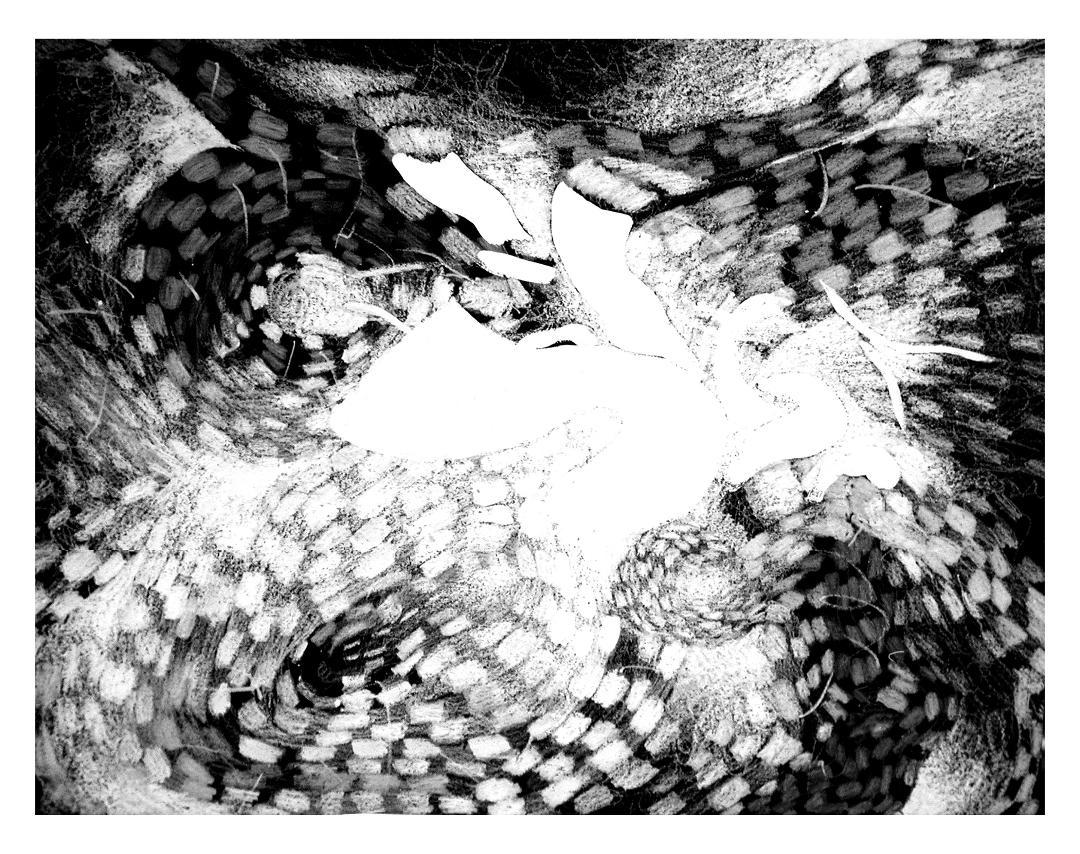 Susan Kaprov Abstract Print - White Light Visions#2, black and white, 28” x 36", patterns 1/10 edition