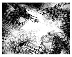 White Light Visions n°2, noir et blanc, 71,12 x 91,44 cm, motifs 1/10 édition