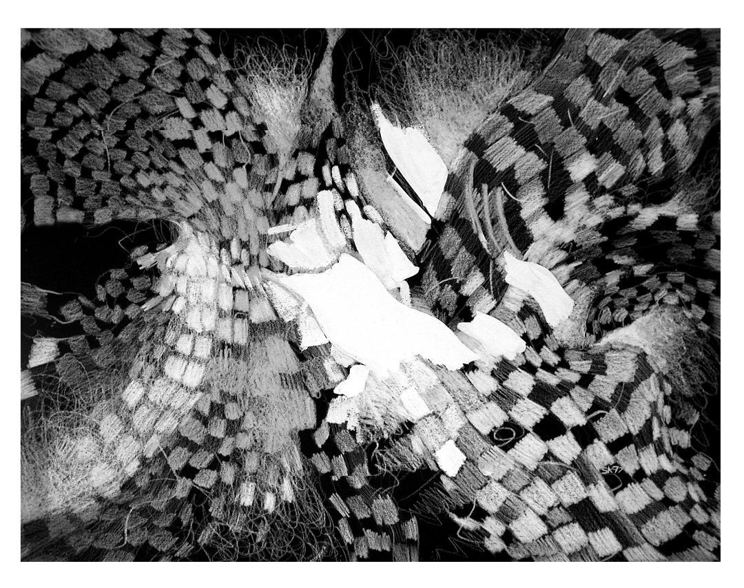 Susan Kaprov Abstract Print - White Light Visions#3, black and white, 28" x 36" patterns 1/10 edition