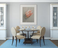 Tulipano: Sera d'estate