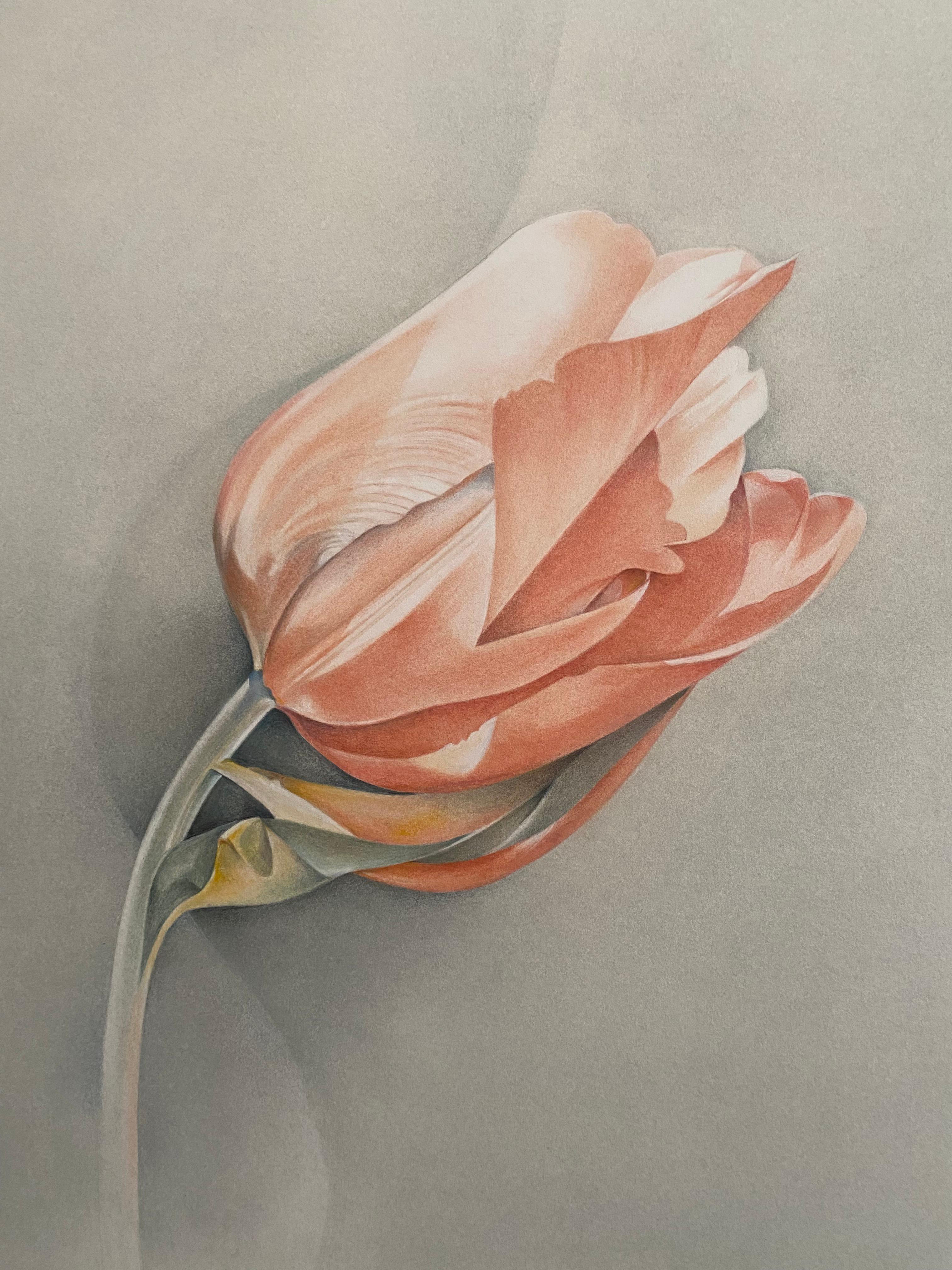 Tulip: Summer Evening - Mixed Media Art by Susan Manchester 