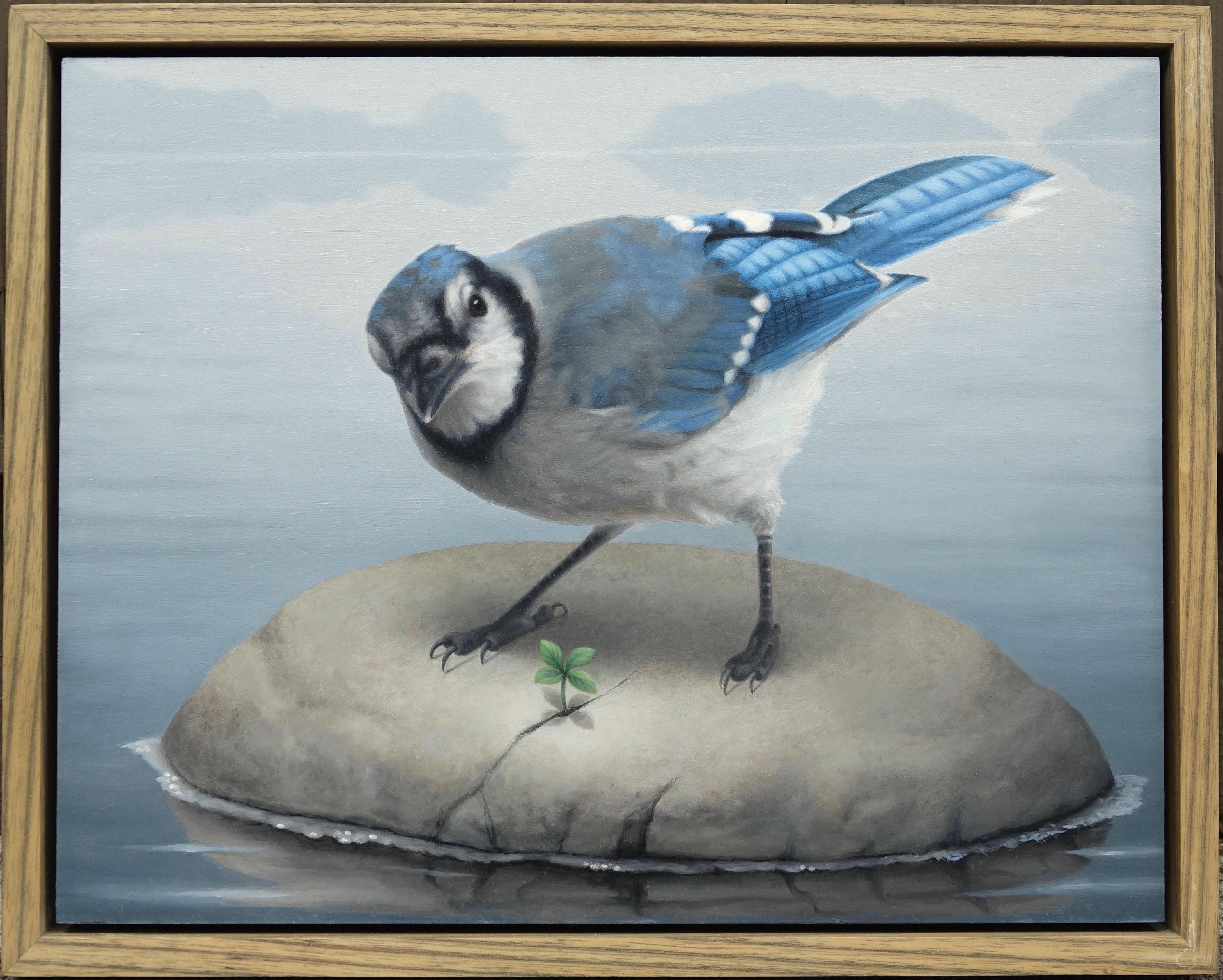 « Blue Jay », peinture à l'huile originale de Susan McDonnell, Avian Art - Réalisme Painting par Susan McDonell