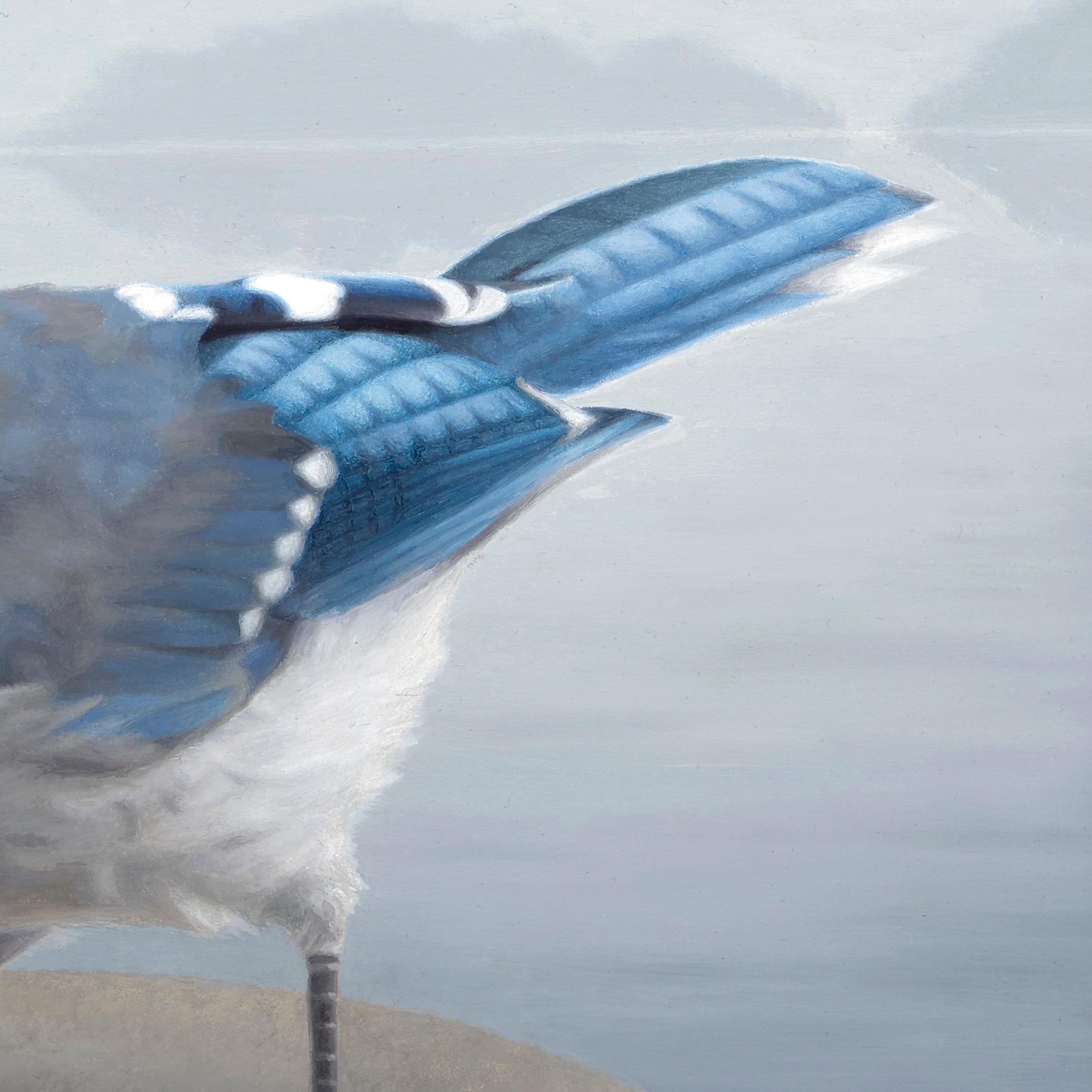 « Blue Jay », peinture à l'huile originale de Susan McDonnell, Avian Art en vente 1