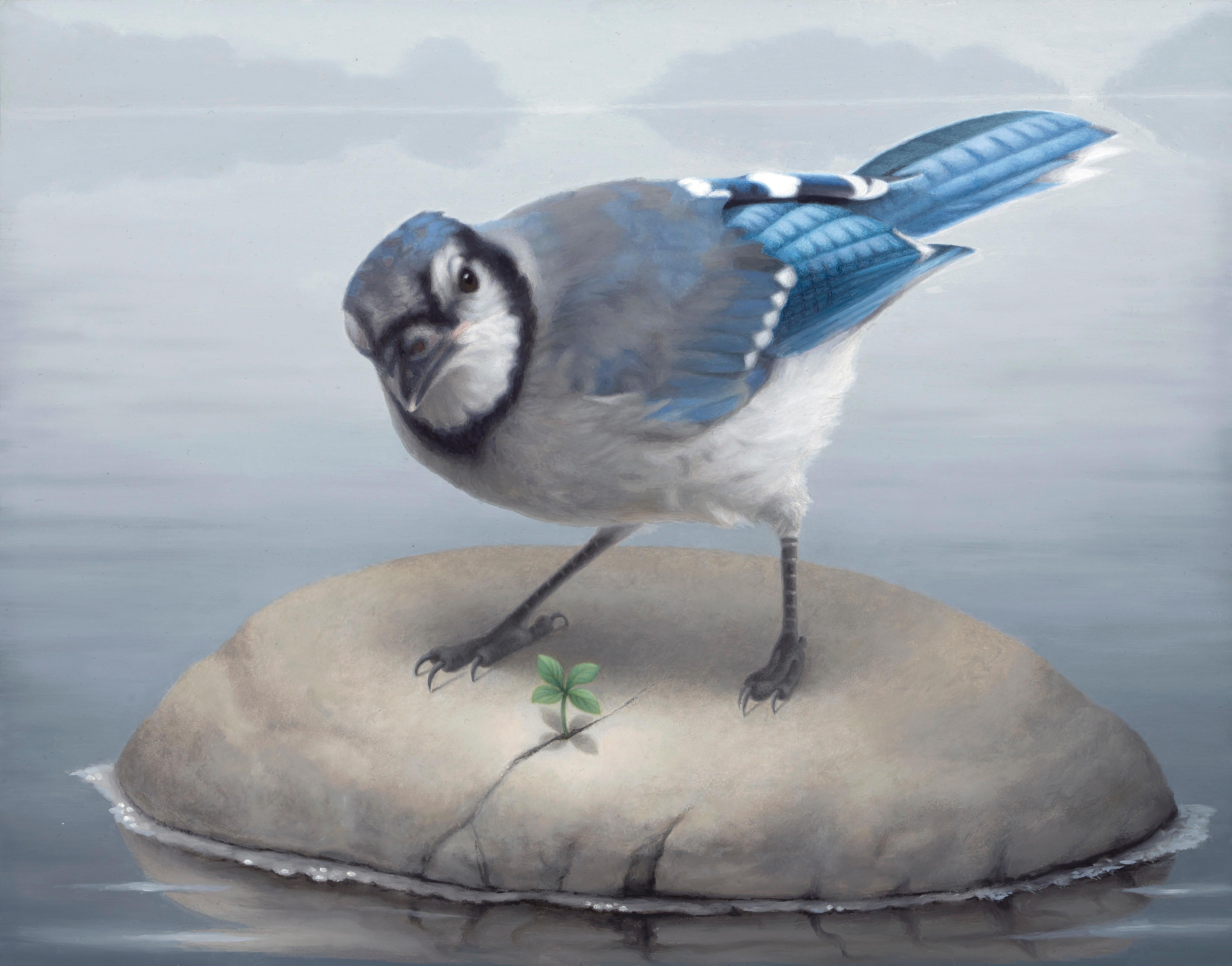 Figurative Painting de Susan McDonell - "Blue Jay" Pintura al óleo original de Susan McDonnell, Arte aviar