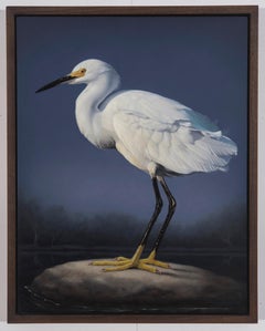 "Snowy Egret, " Oil painting