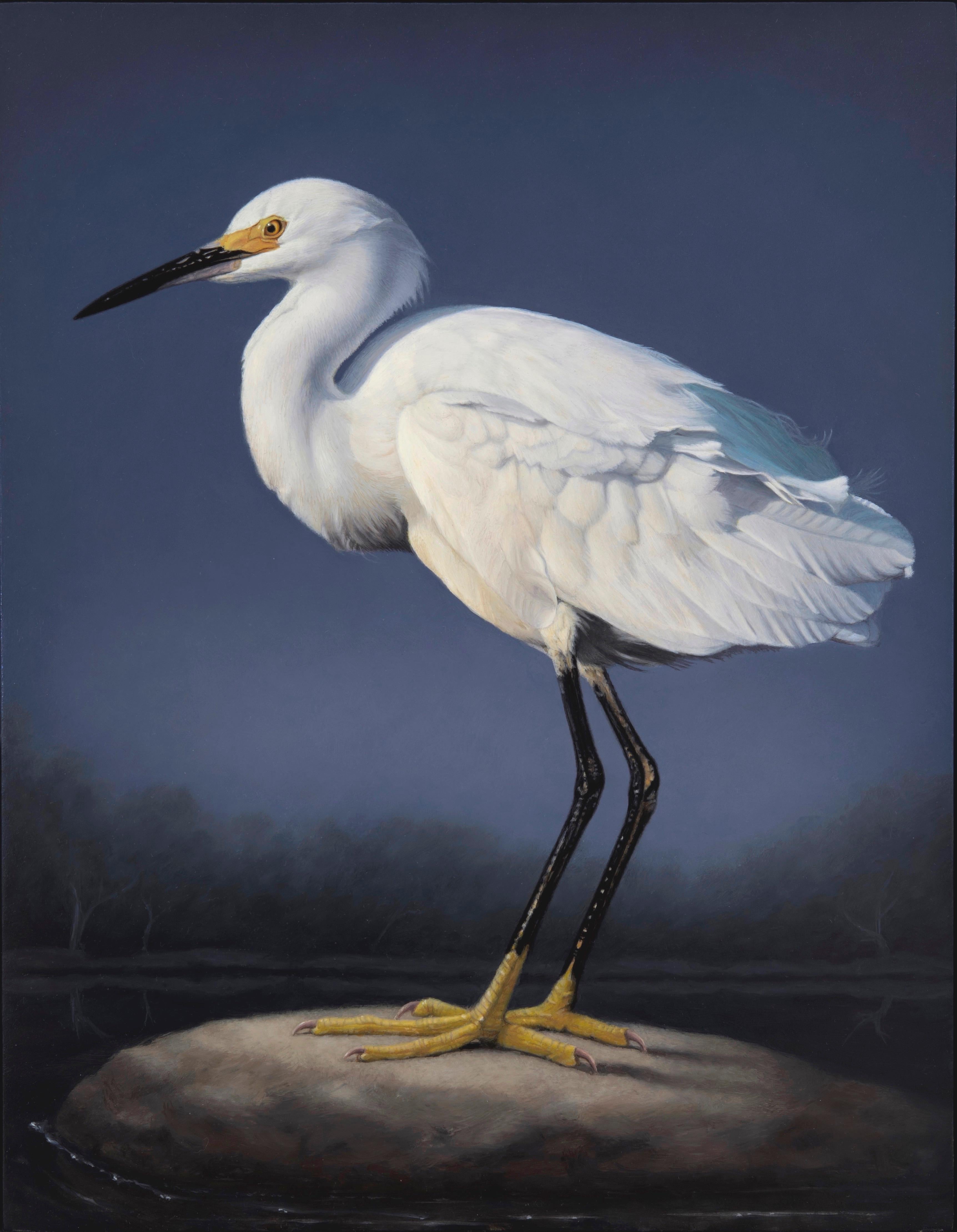 Susan McDonnell Animal Painting - "Snowy Egret, " Oil painting