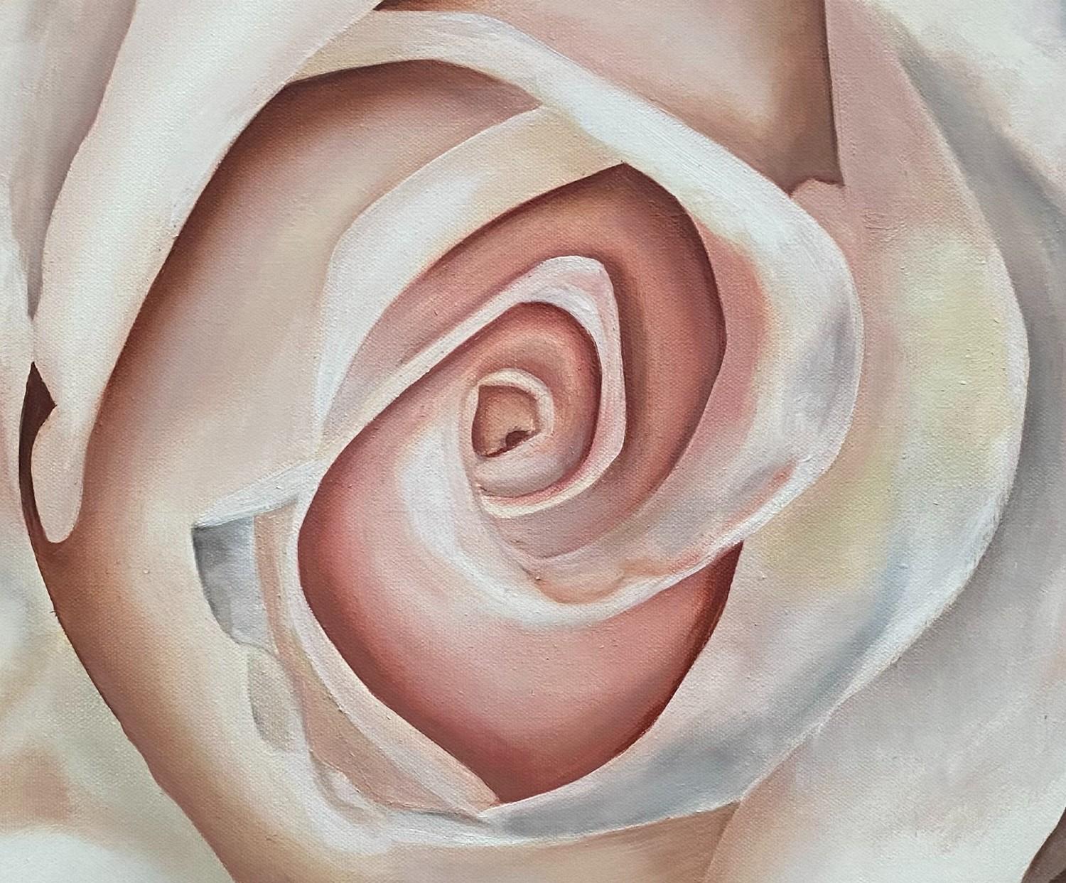 A White Rose  Realism Oil on Canvas    Gallery Wrapped  Floral 20