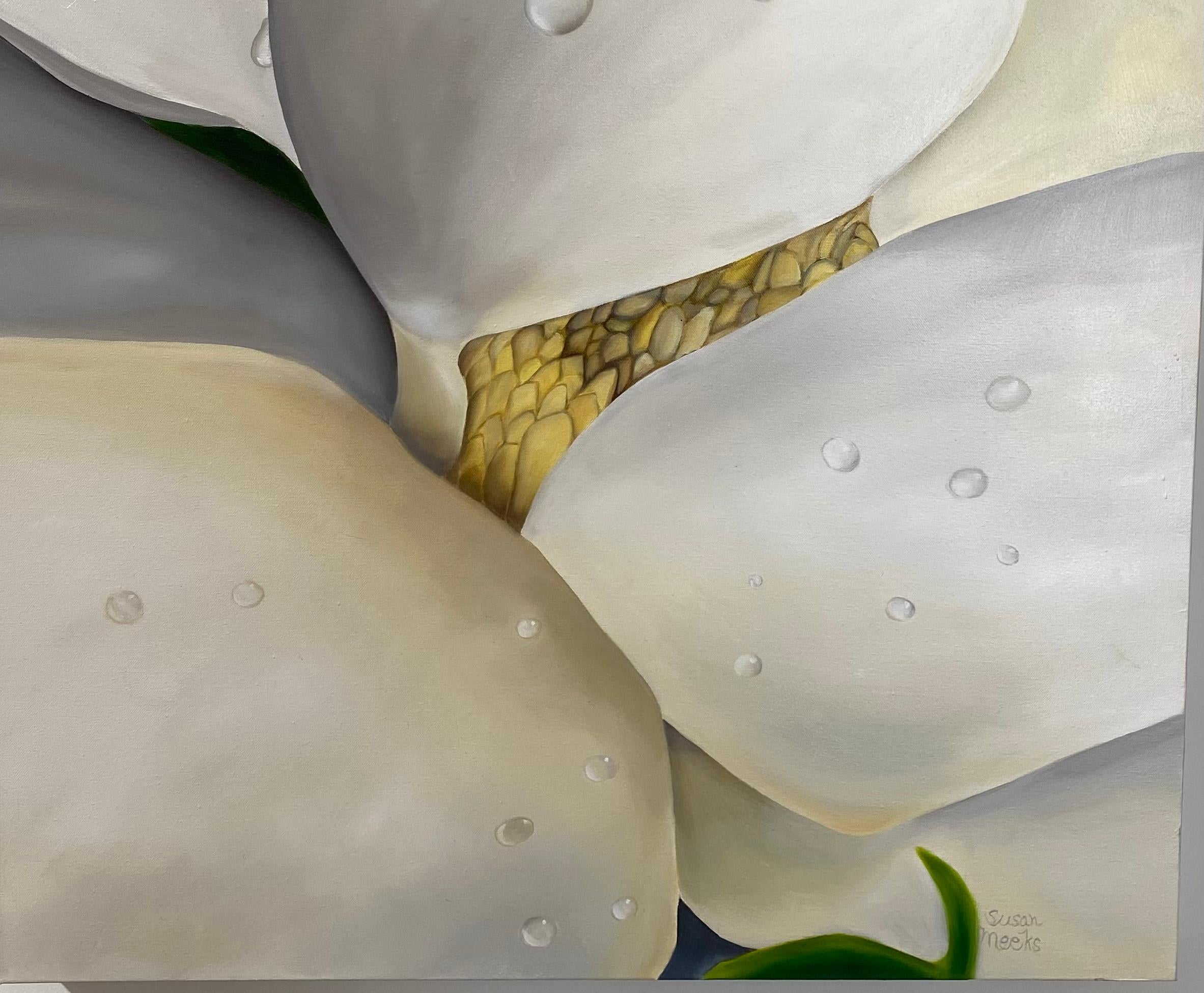 Gros plan sur un magnolia sous la pluie  Réalisme 40 x 30 Huile  Toile  Peinture florale  - Réalisme américain Painting par Susan Meeks