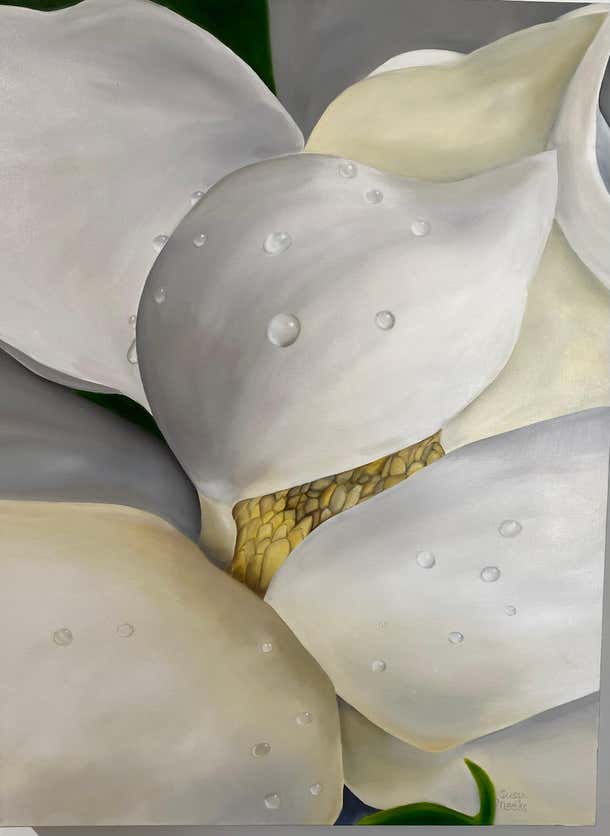 Susan Meeks Close Up Magnolia In The Rain Realism 40 X 30 Oil Canvas susan-meeks-close-up-magnolia-in-the-rain-realism-40-x-30-oil-canvas