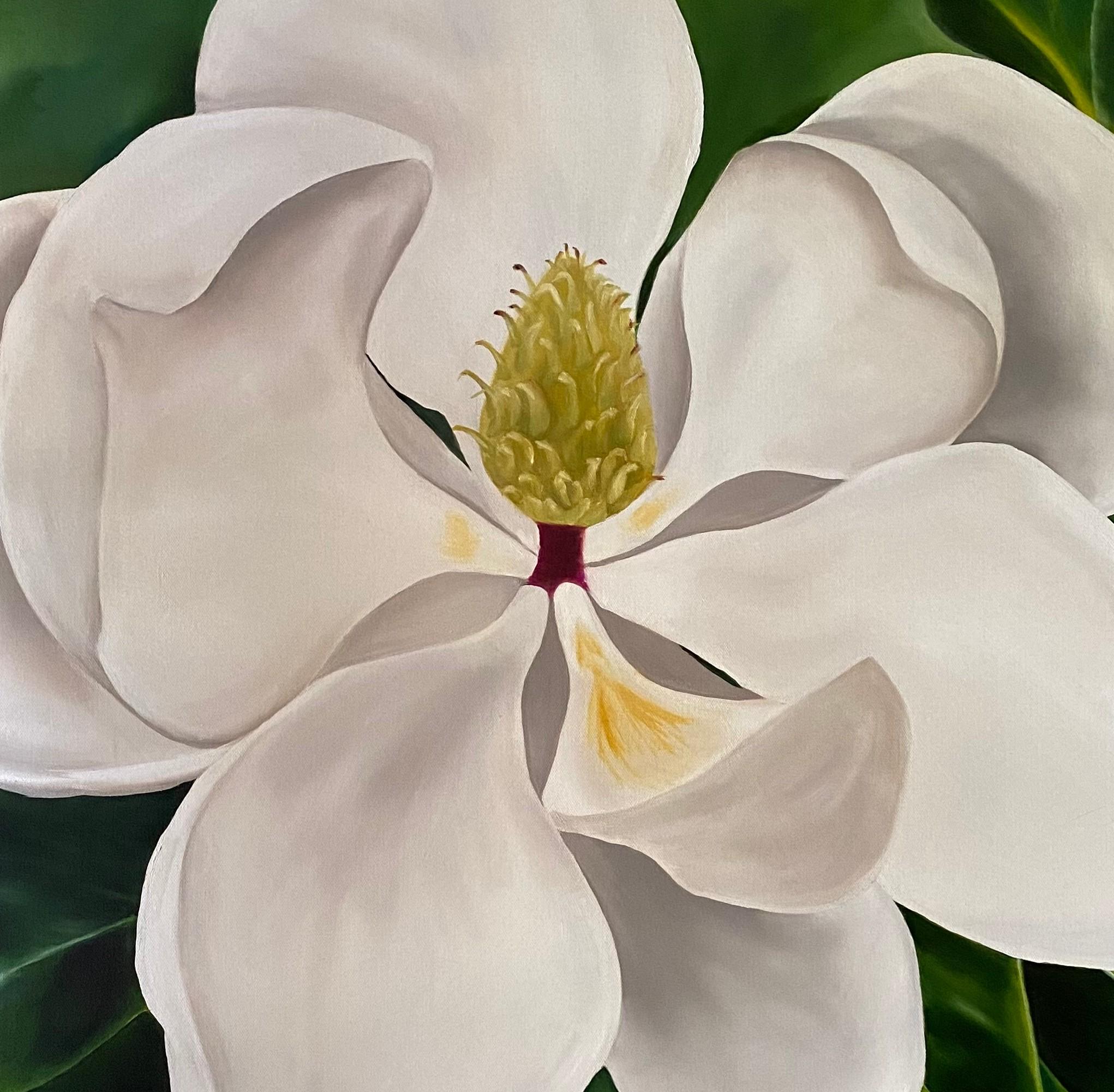  Magnolia géant  Réalisme 36 x 36 Huile sur toile - Galerie enveloppée   Fleuri - Painting de Susan Meeks