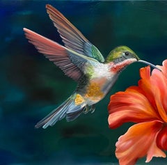 Hummingbird with Hibiscus Oil on Canvas 16" x 20" Framed Colors Texas Artist