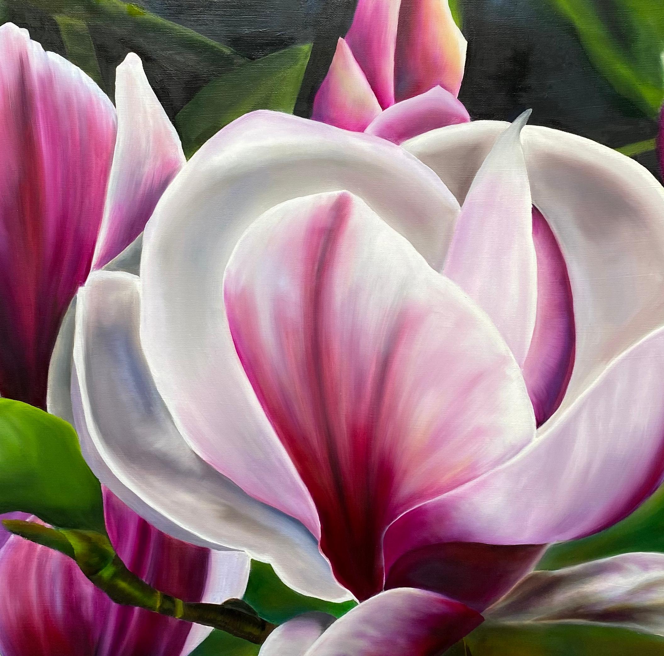 Magenta Magnolia  Réalisme 36 x 36 Huile  Canvas Gallery Wrapped  Peinture florale  - Réalisme américain Painting par Susan Meeks