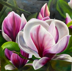 Vintage Magenta Magnolia  Realism 36 x 36 Oil  Canvas Gallery Wrapped  Floral Painting 